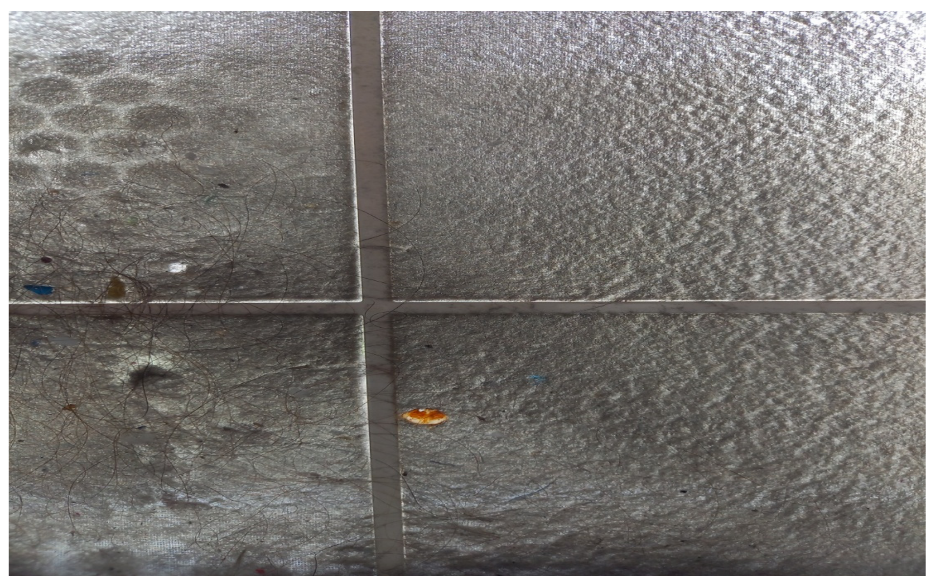 Vaccines 10 00847 g002