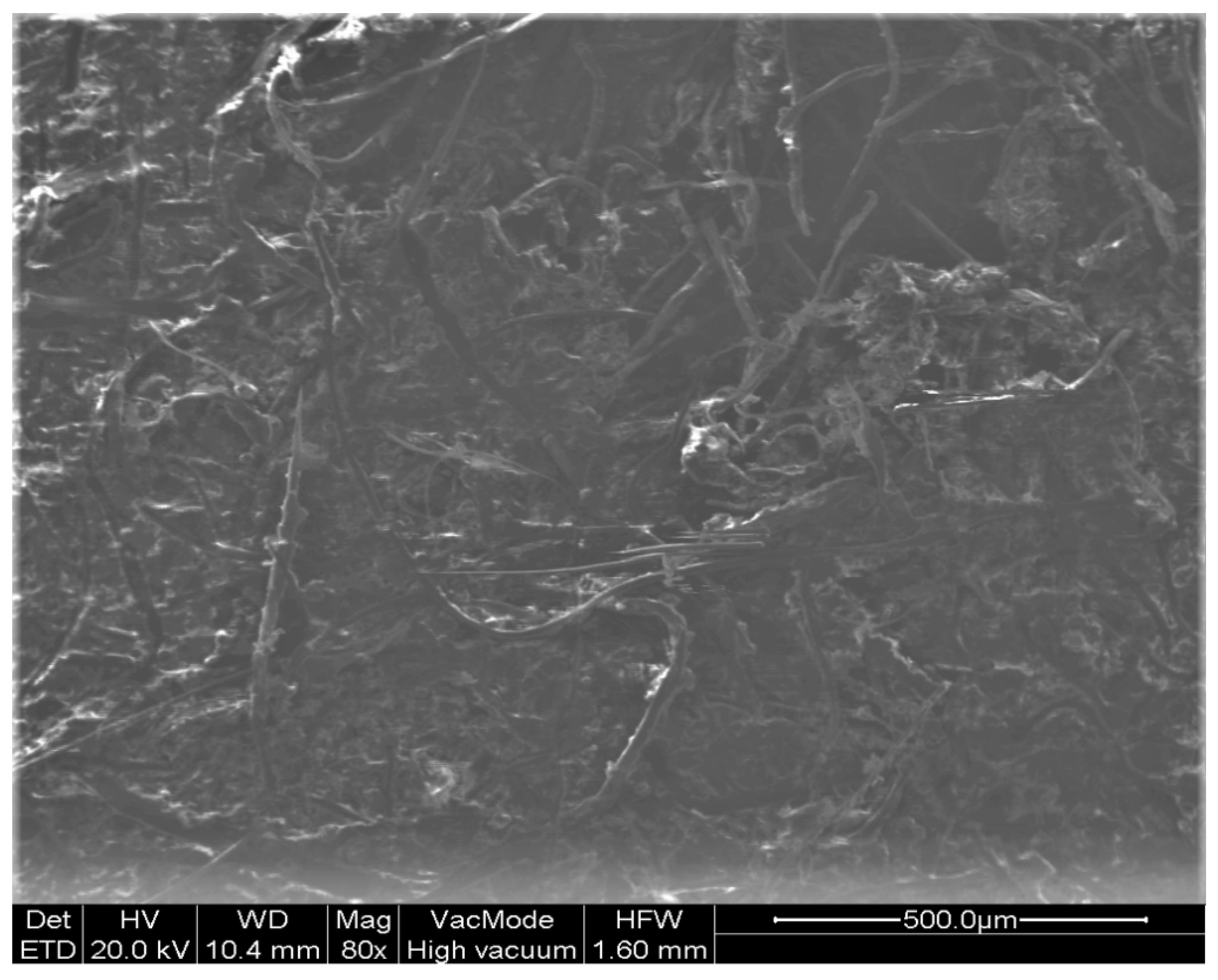 Vaccines 10 00847 g003