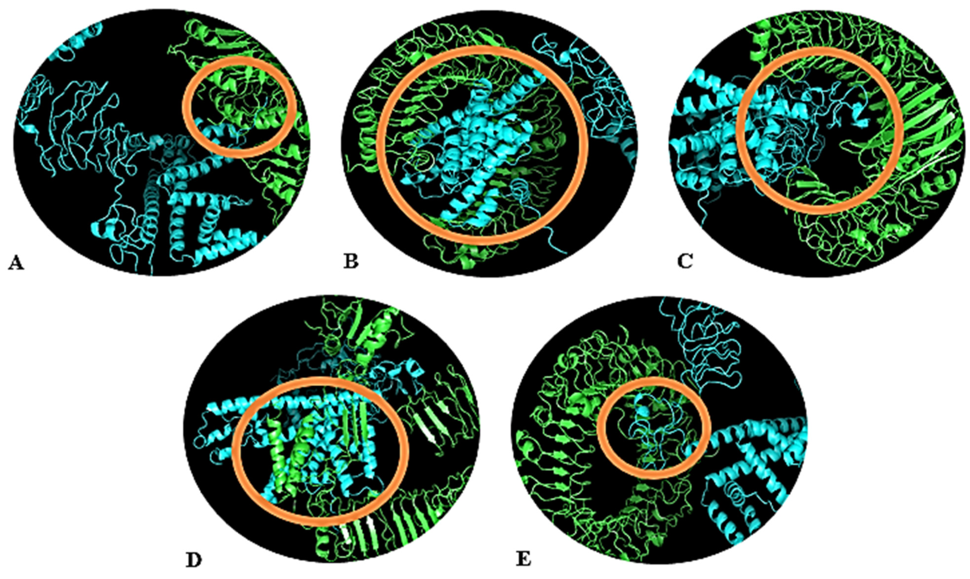 Vaccines 10 00869 g004