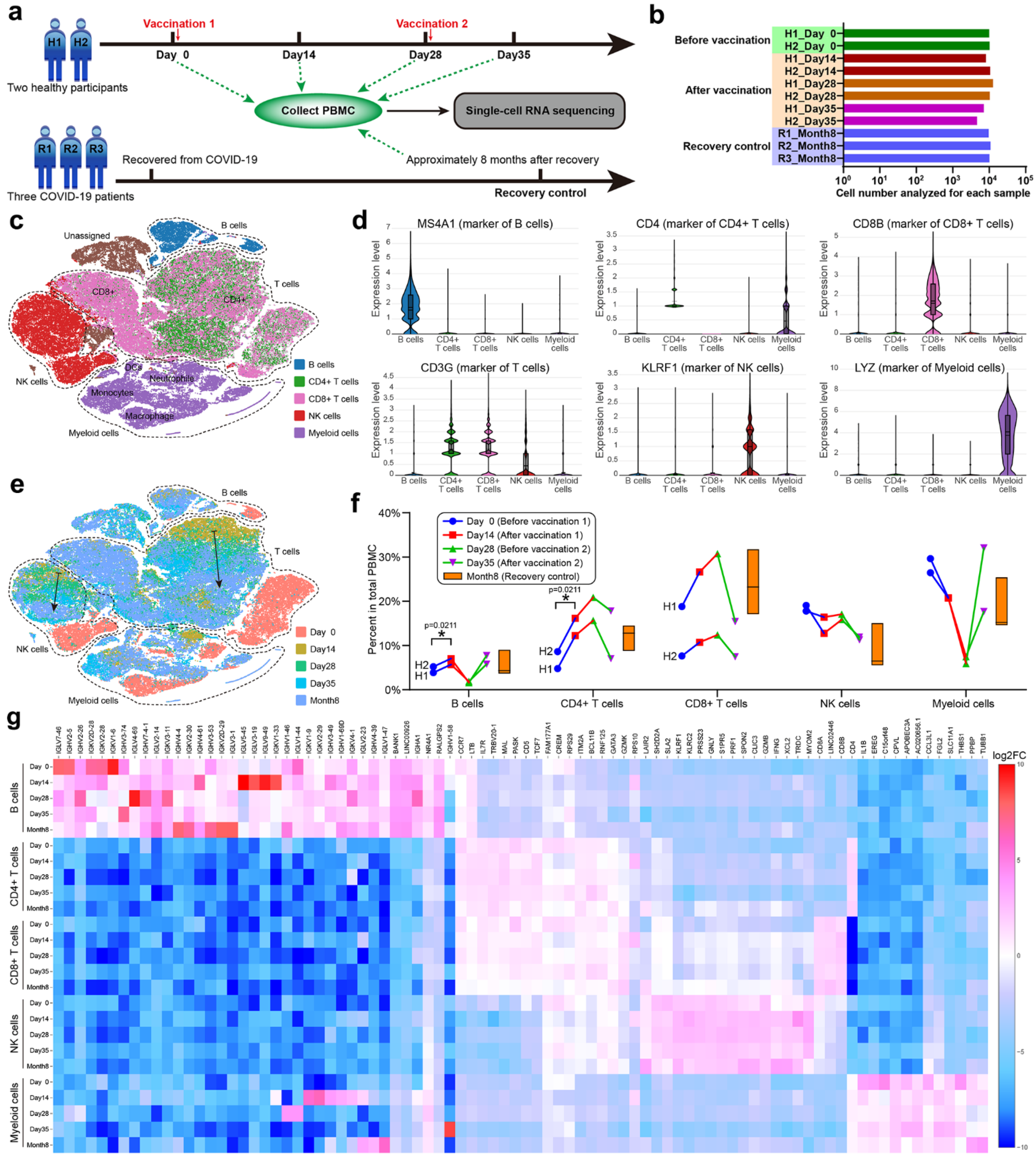 Vaccines 10 00878 g004