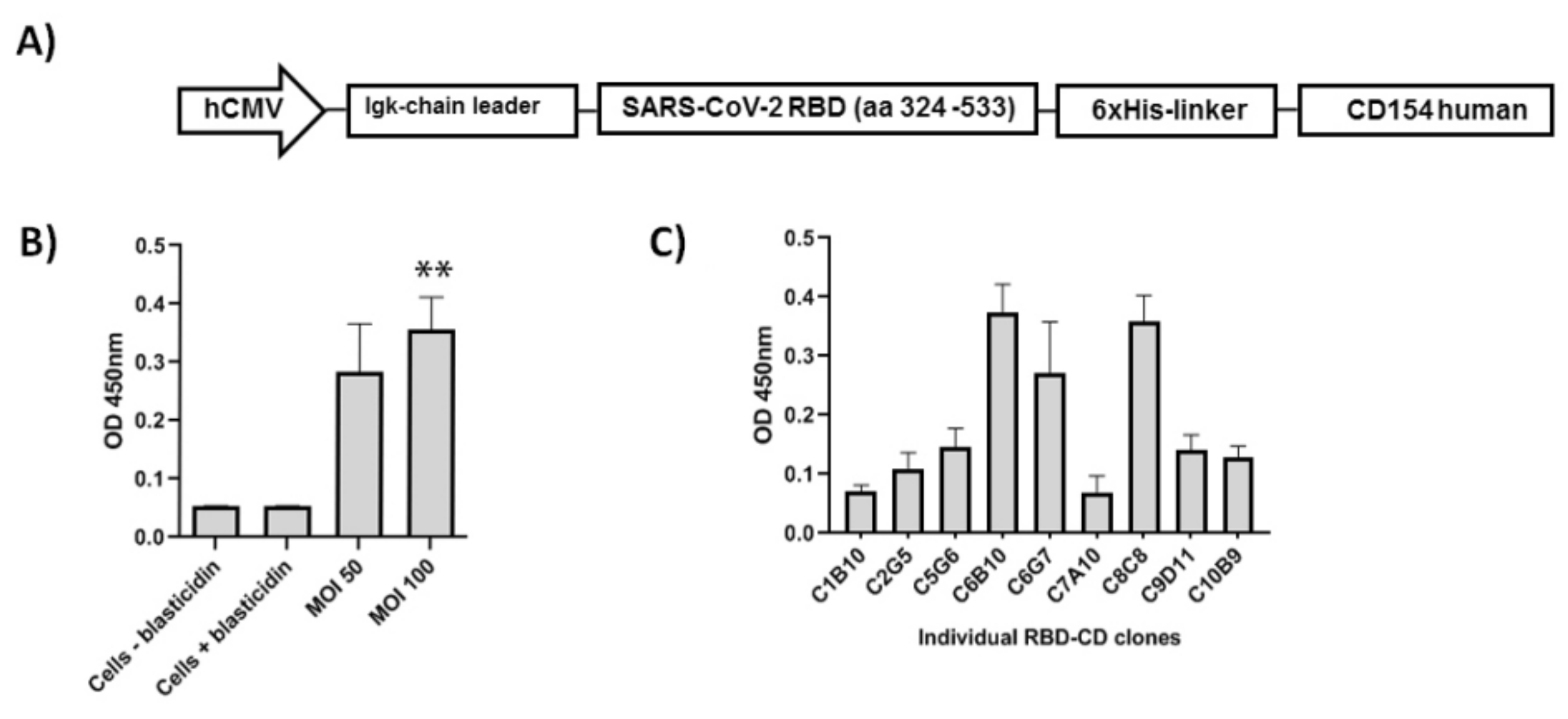 Vaccines 10 00897 g001