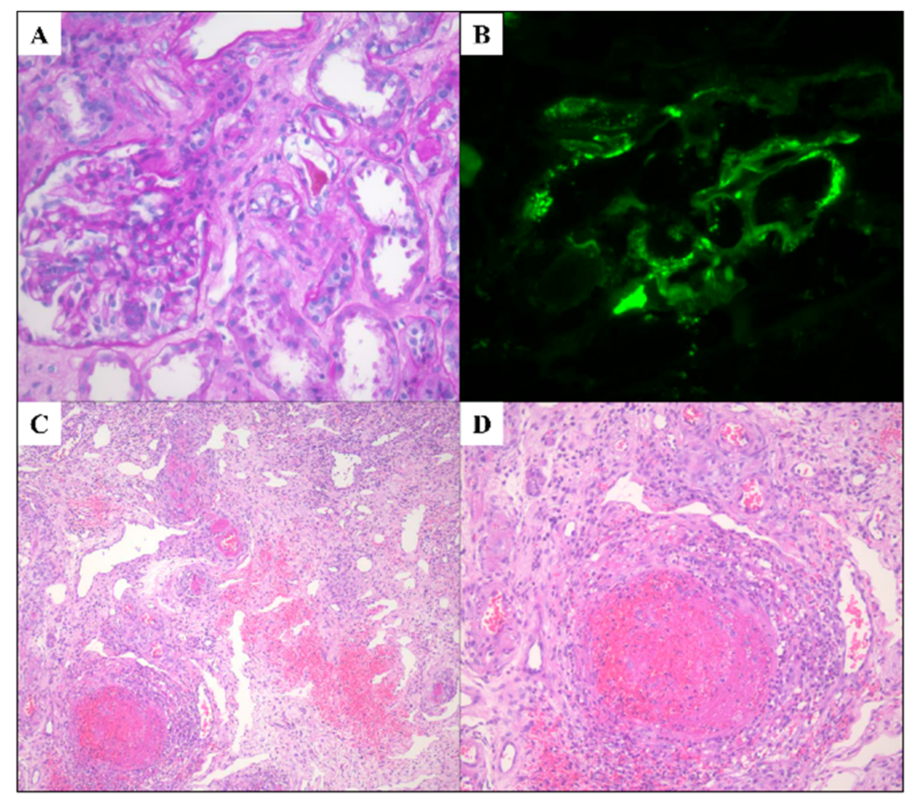 Vaccines 10 00923 g001