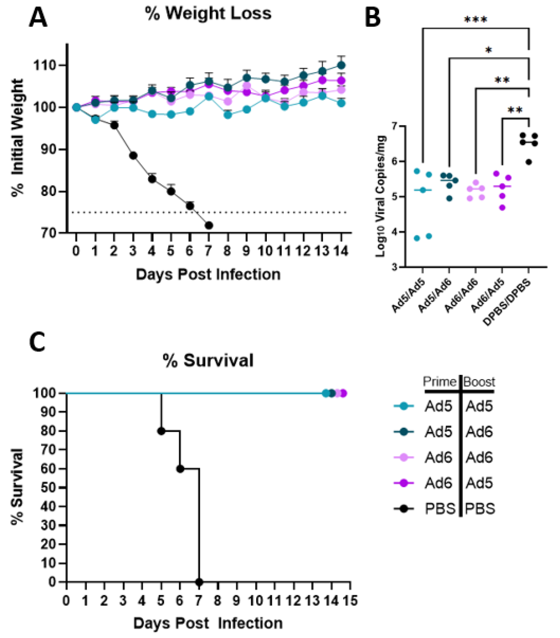Vaccines 10 00926 g004