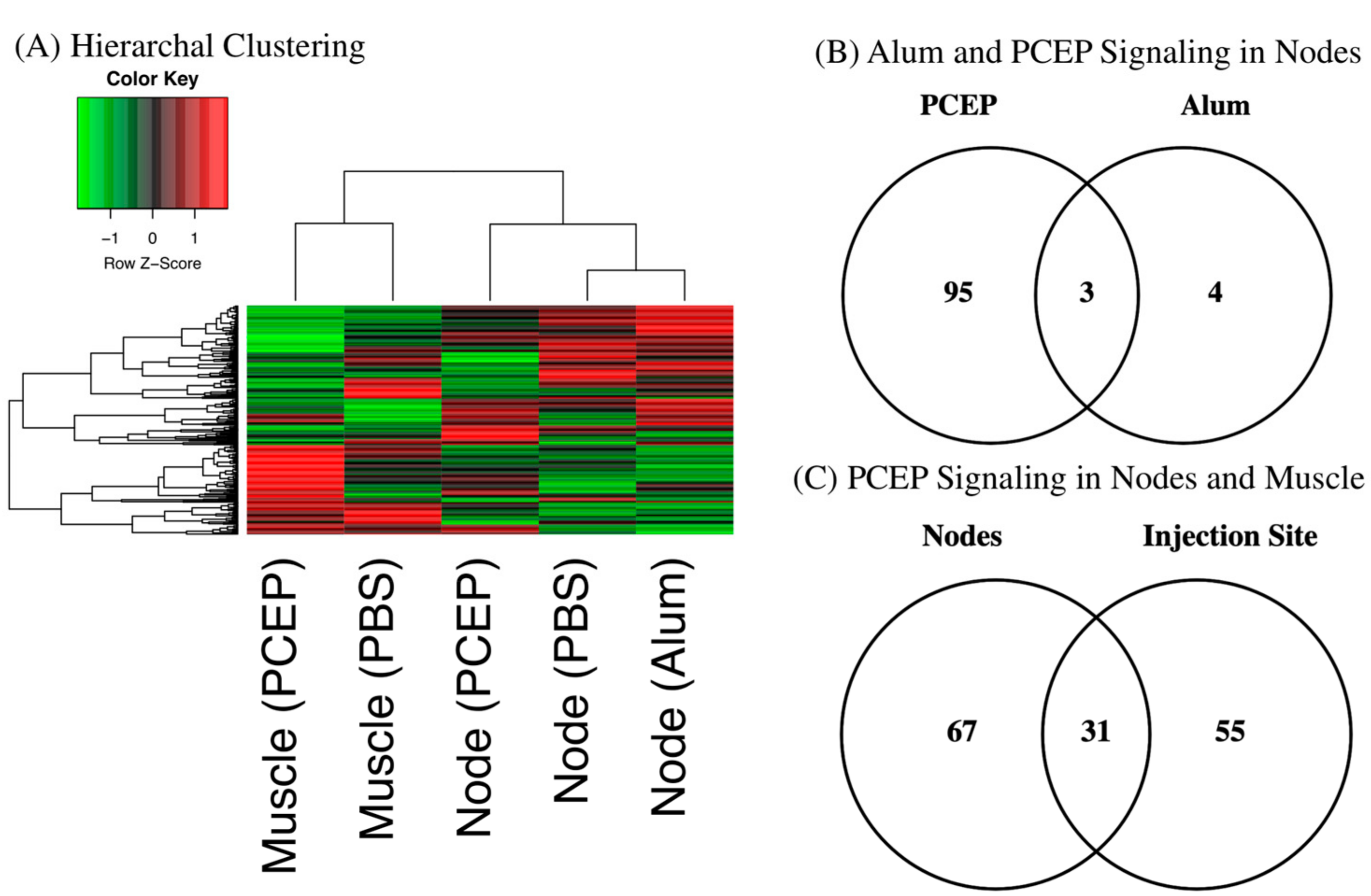 Vaccines 10 00927 g001