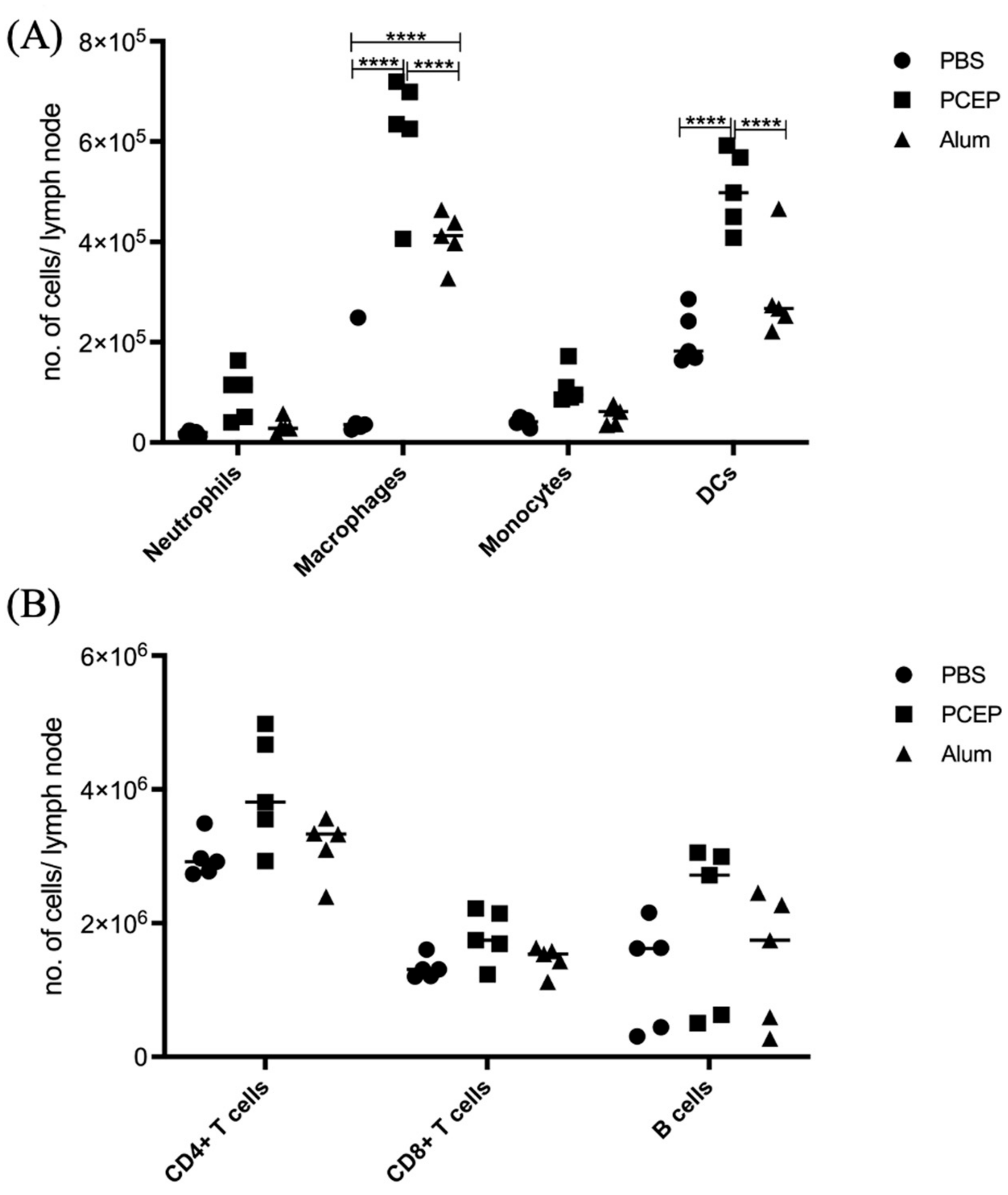 Vaccines 10 00927 g004