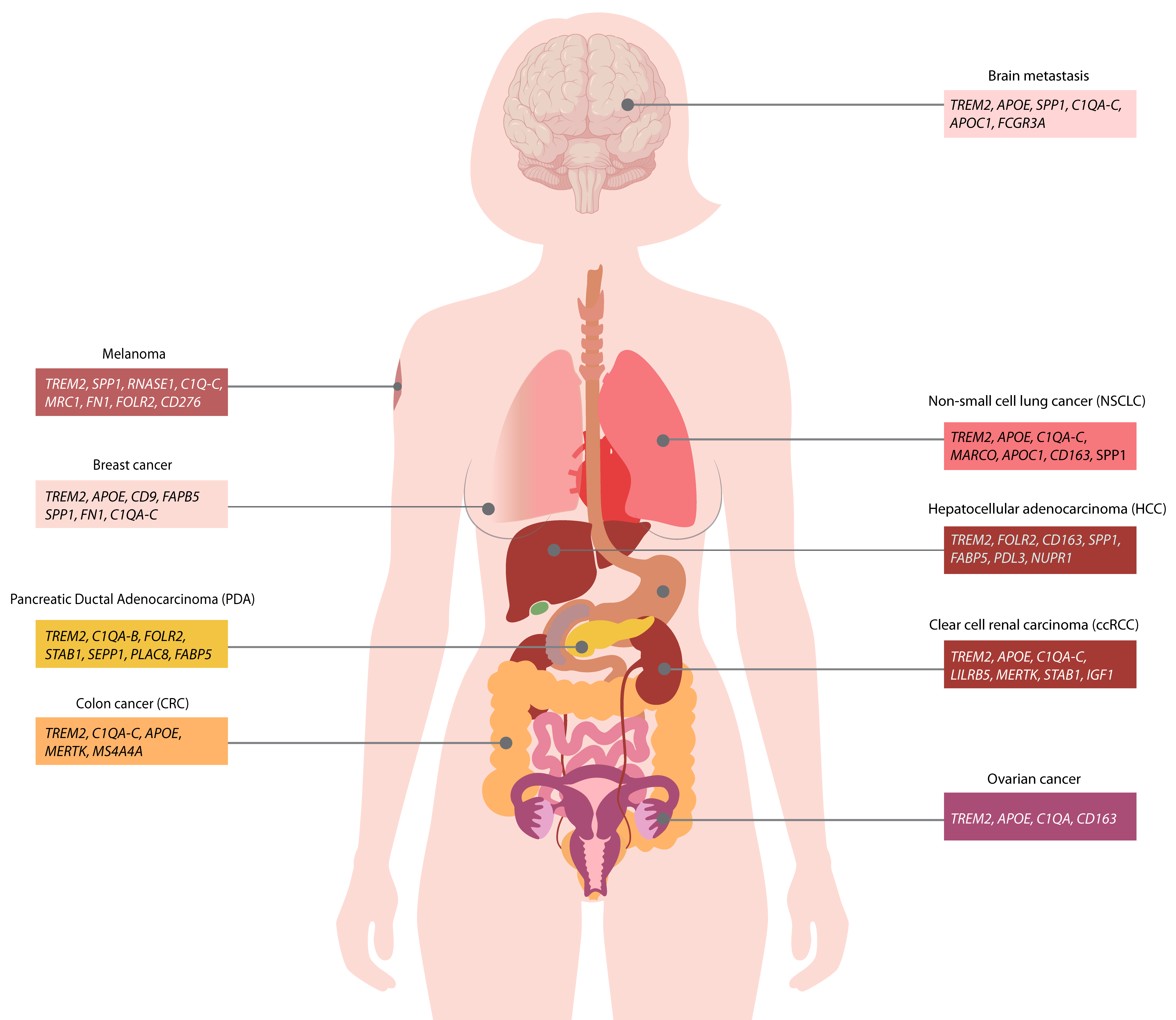 Vaccines 10 00943 g002