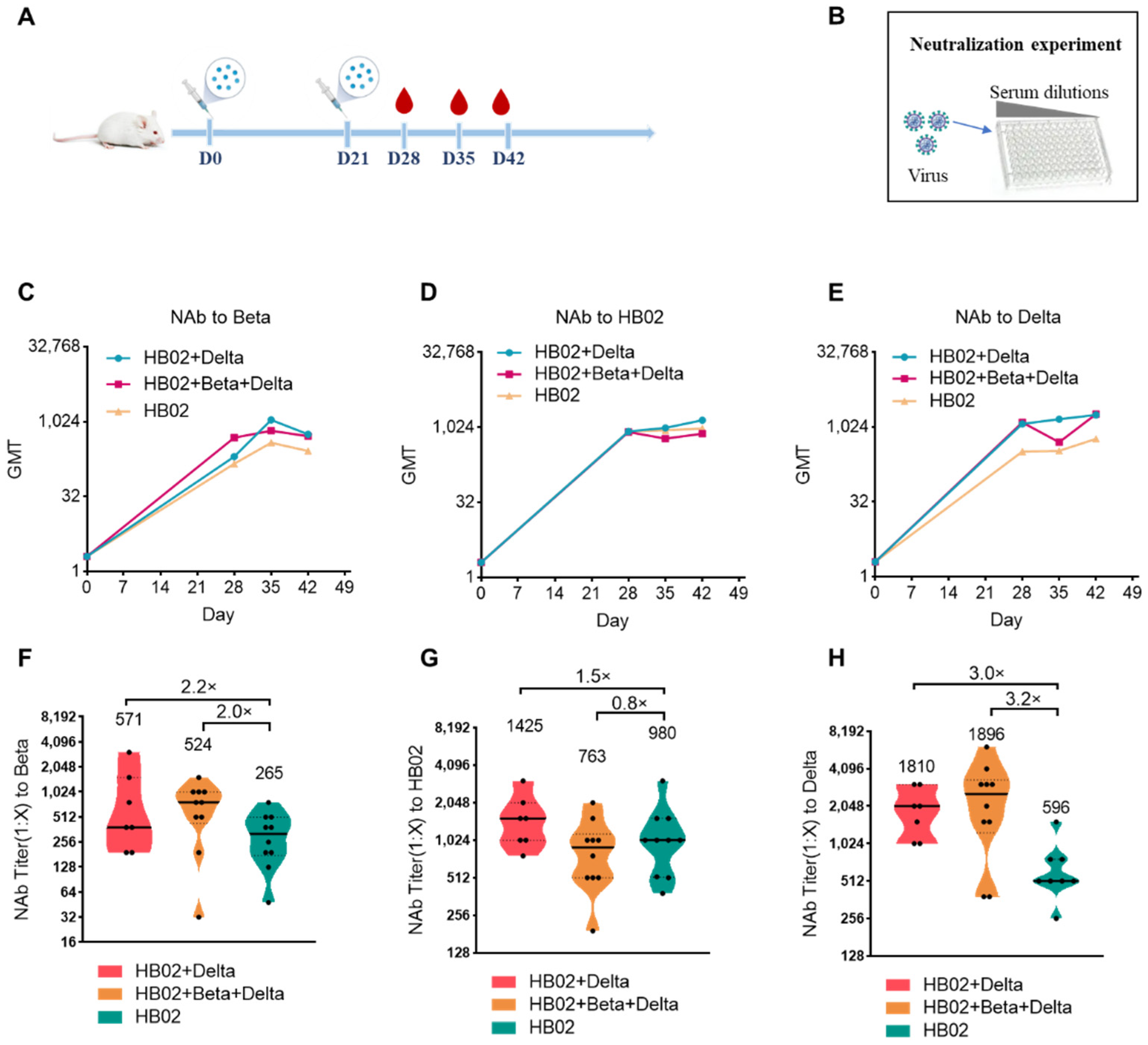 Vaccines 10 00956 g001