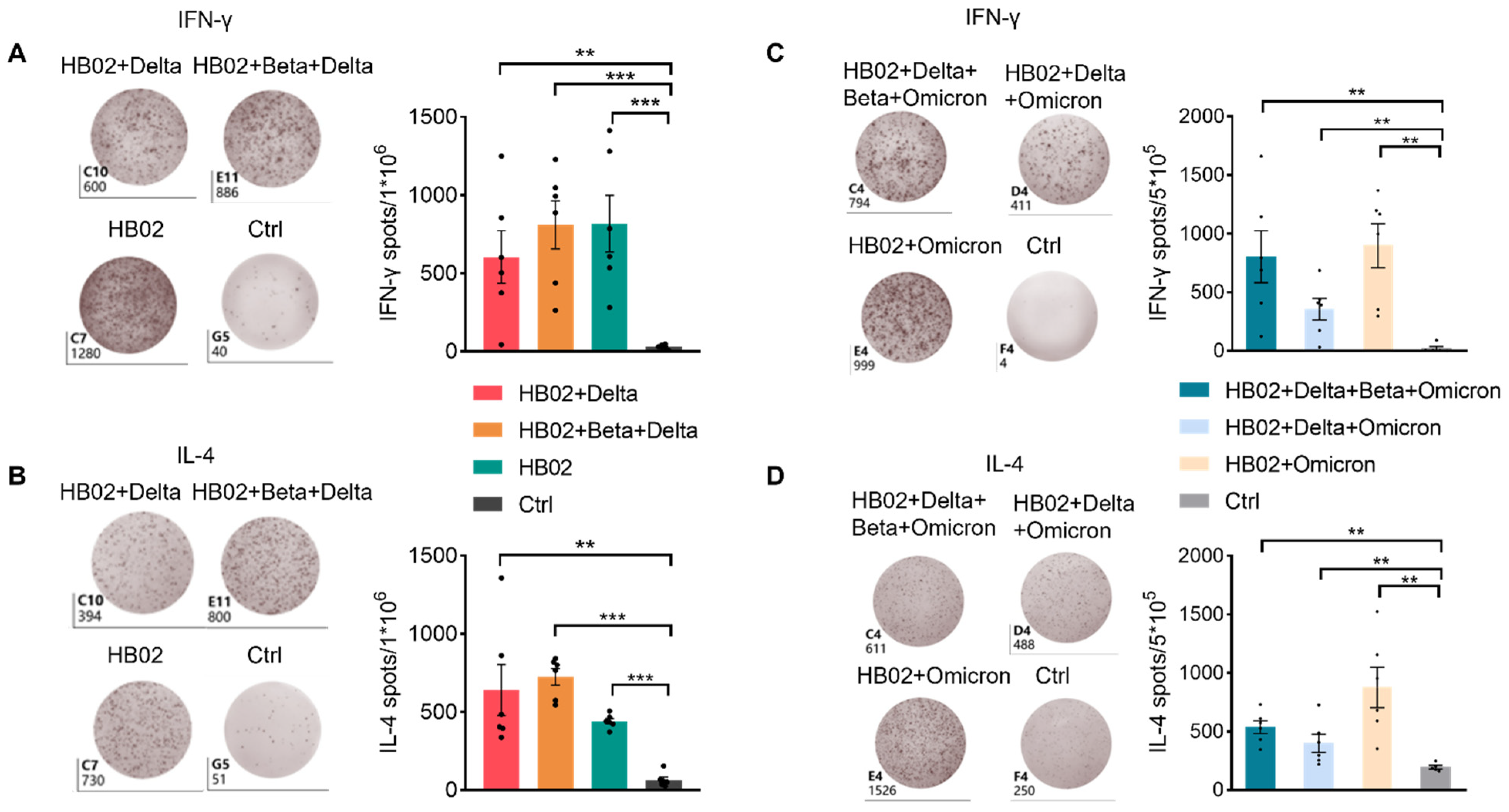 Vaccines 10 00956 g004