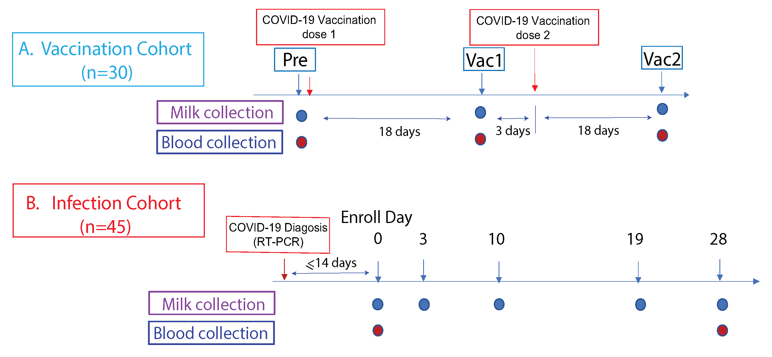 Vaccines 10 00980 g001
