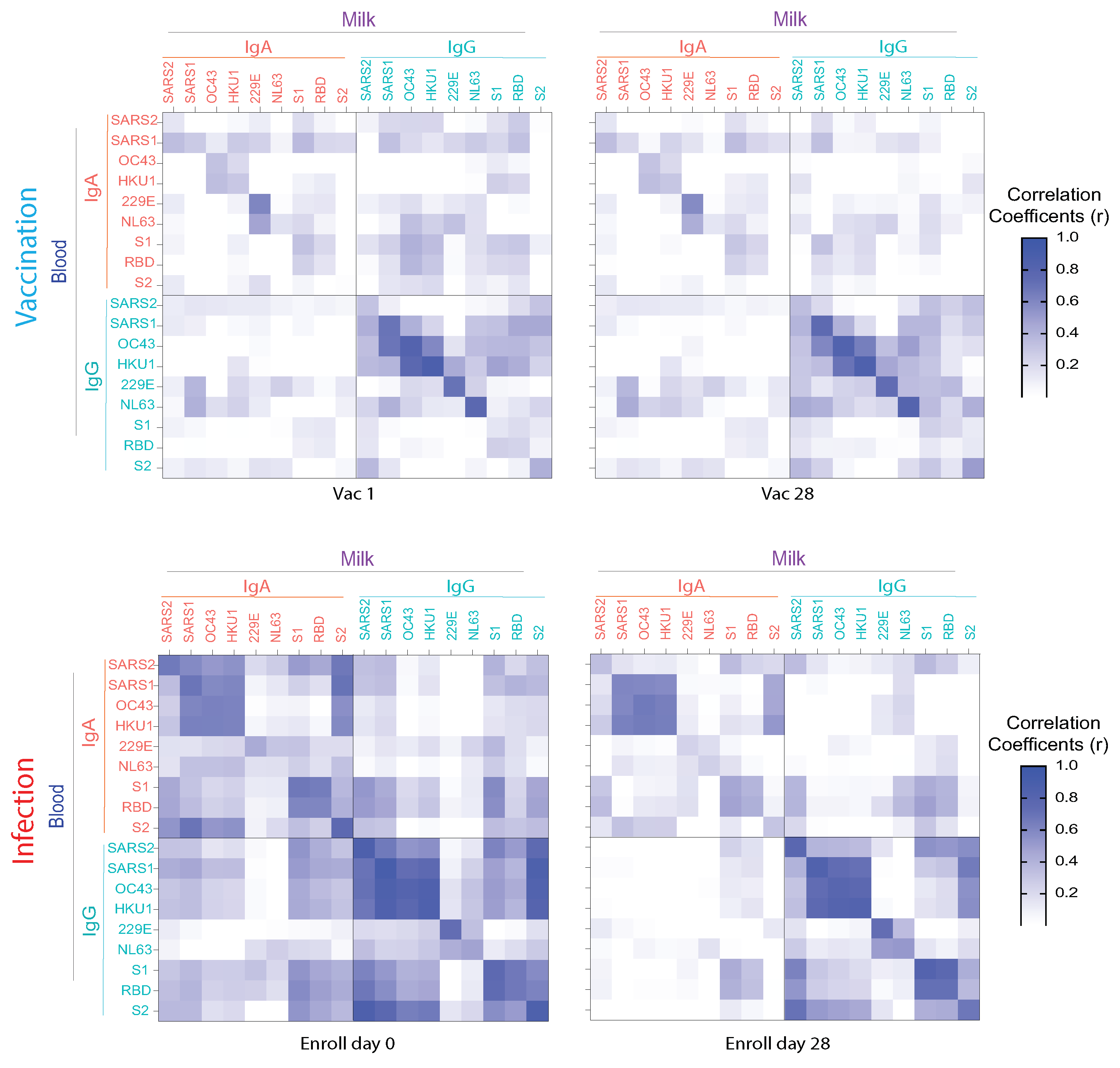 Vaccines 10 00980 g005