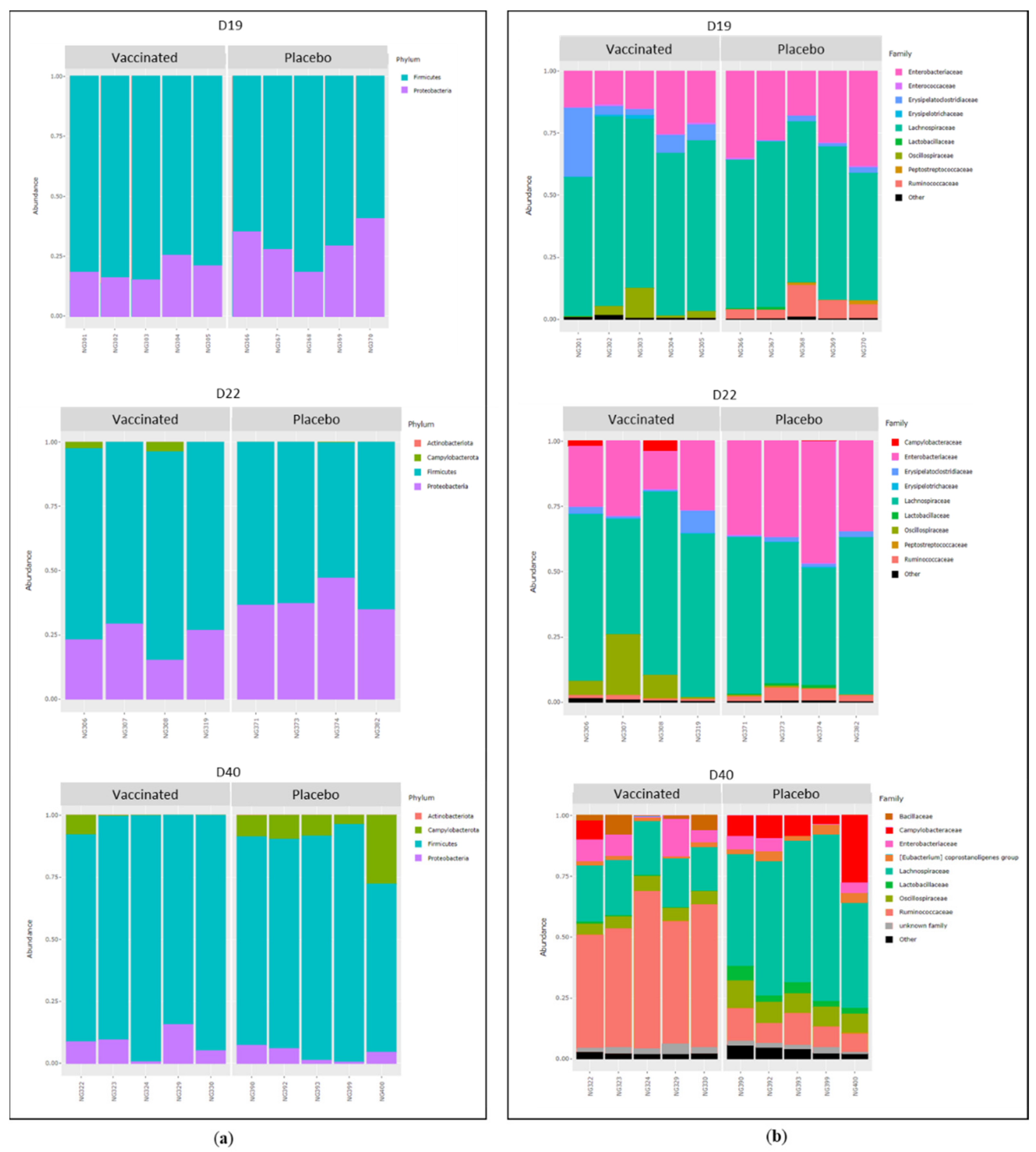 Vaccines 10 00981 g007