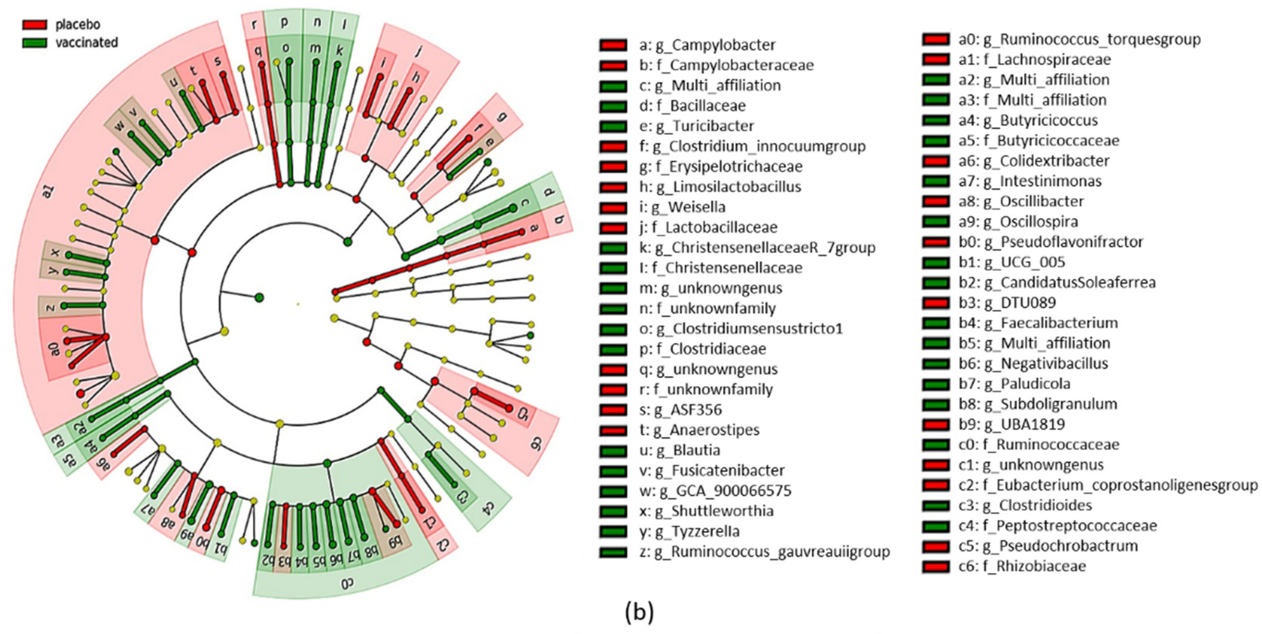 Vaccines 10 00981 g008b
