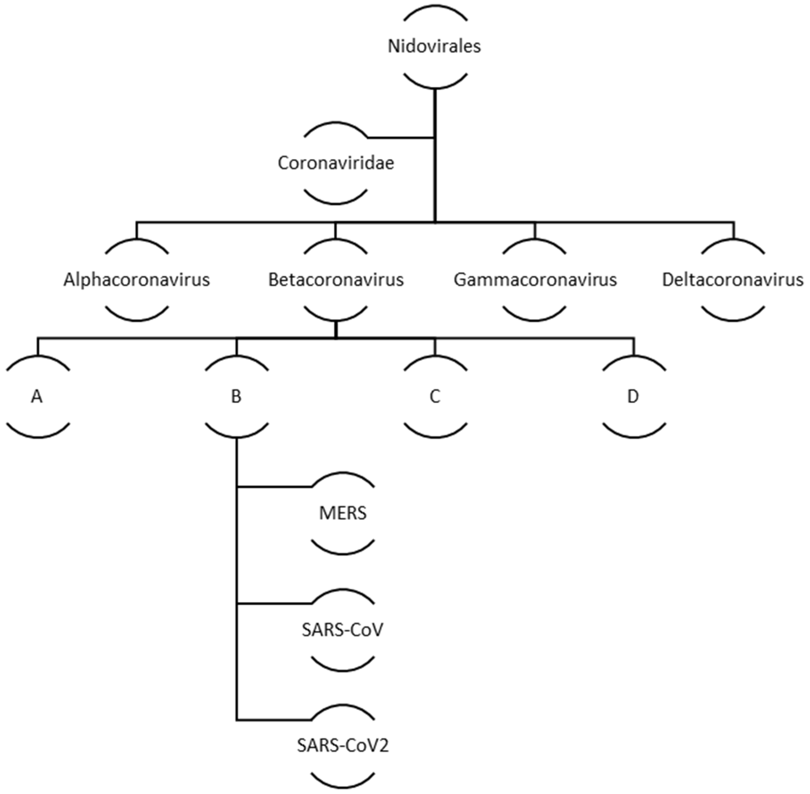 Vaccines 10 00985 g002