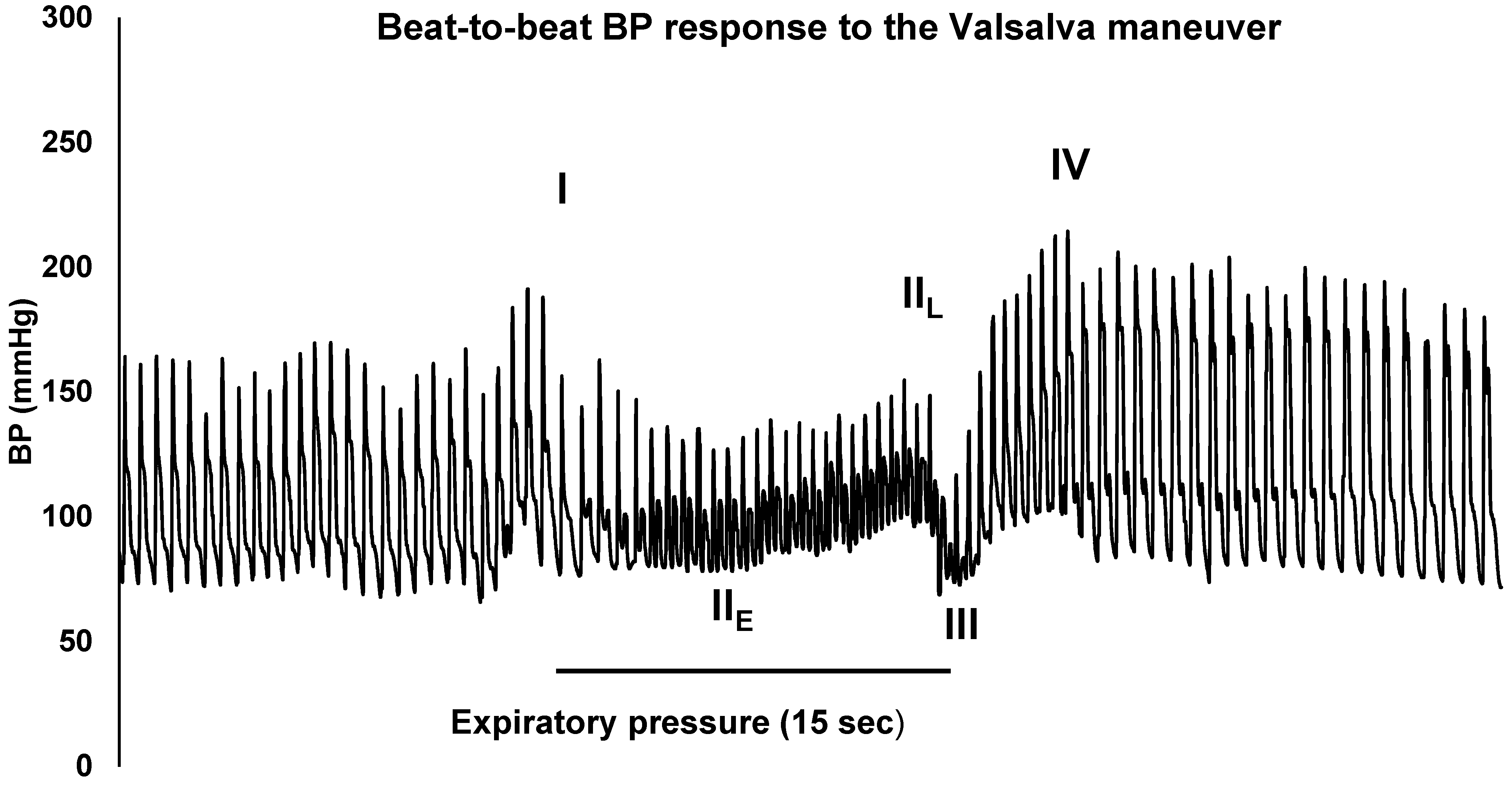 Vaccines 10 00991 g001
