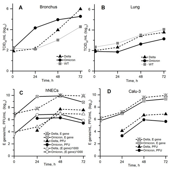 Vaccines 10 00995 g002 550
