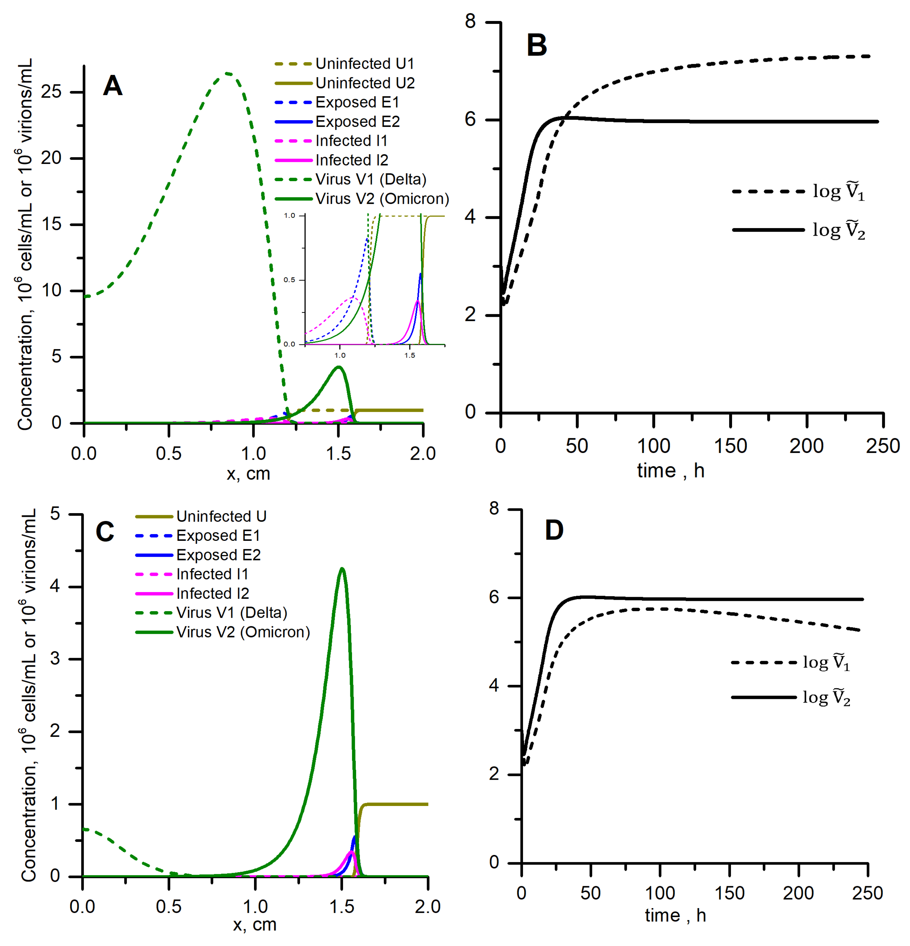 Vaccines 10 00995 g005