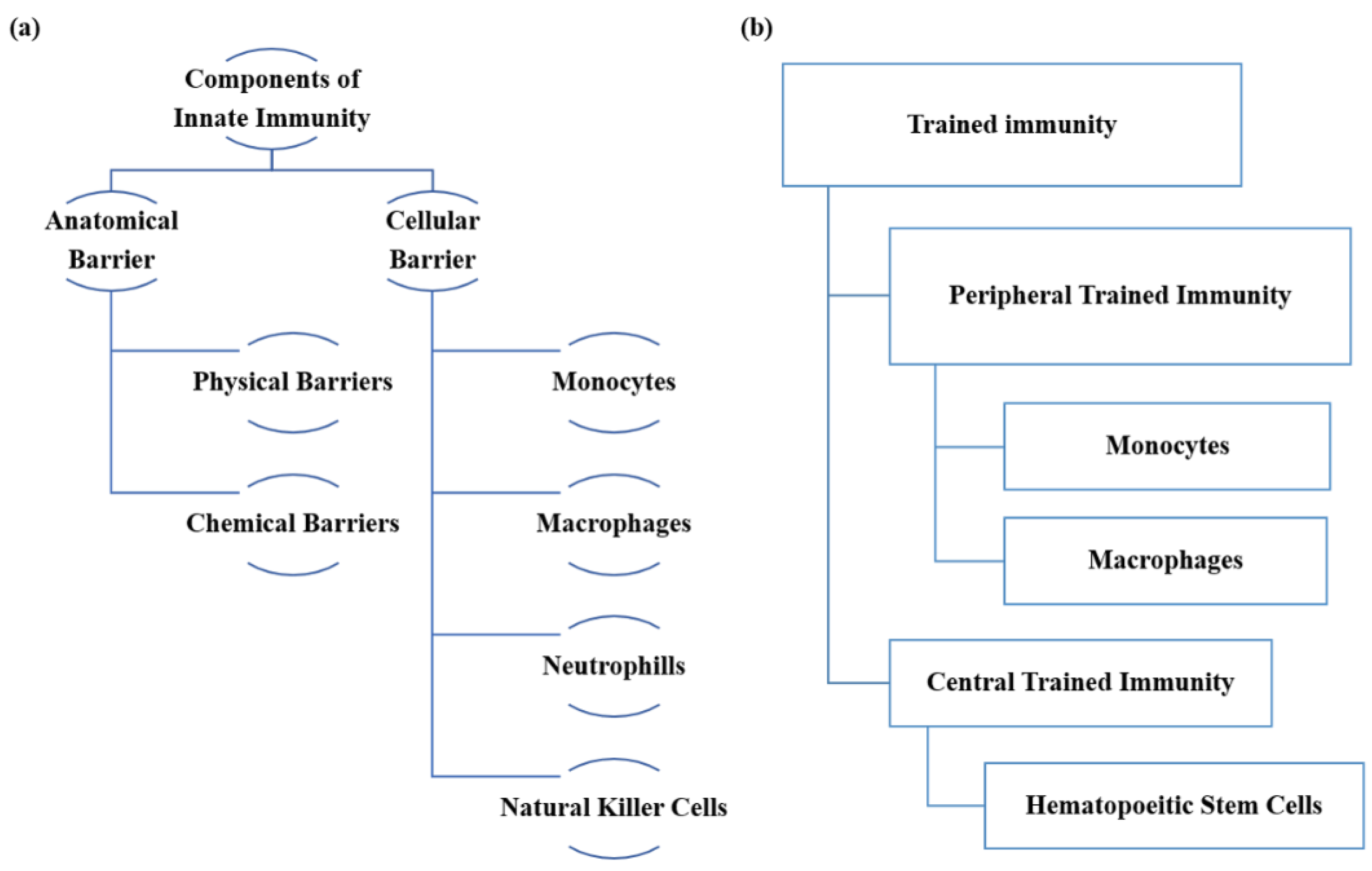 Vaccines 10 01006 g001
