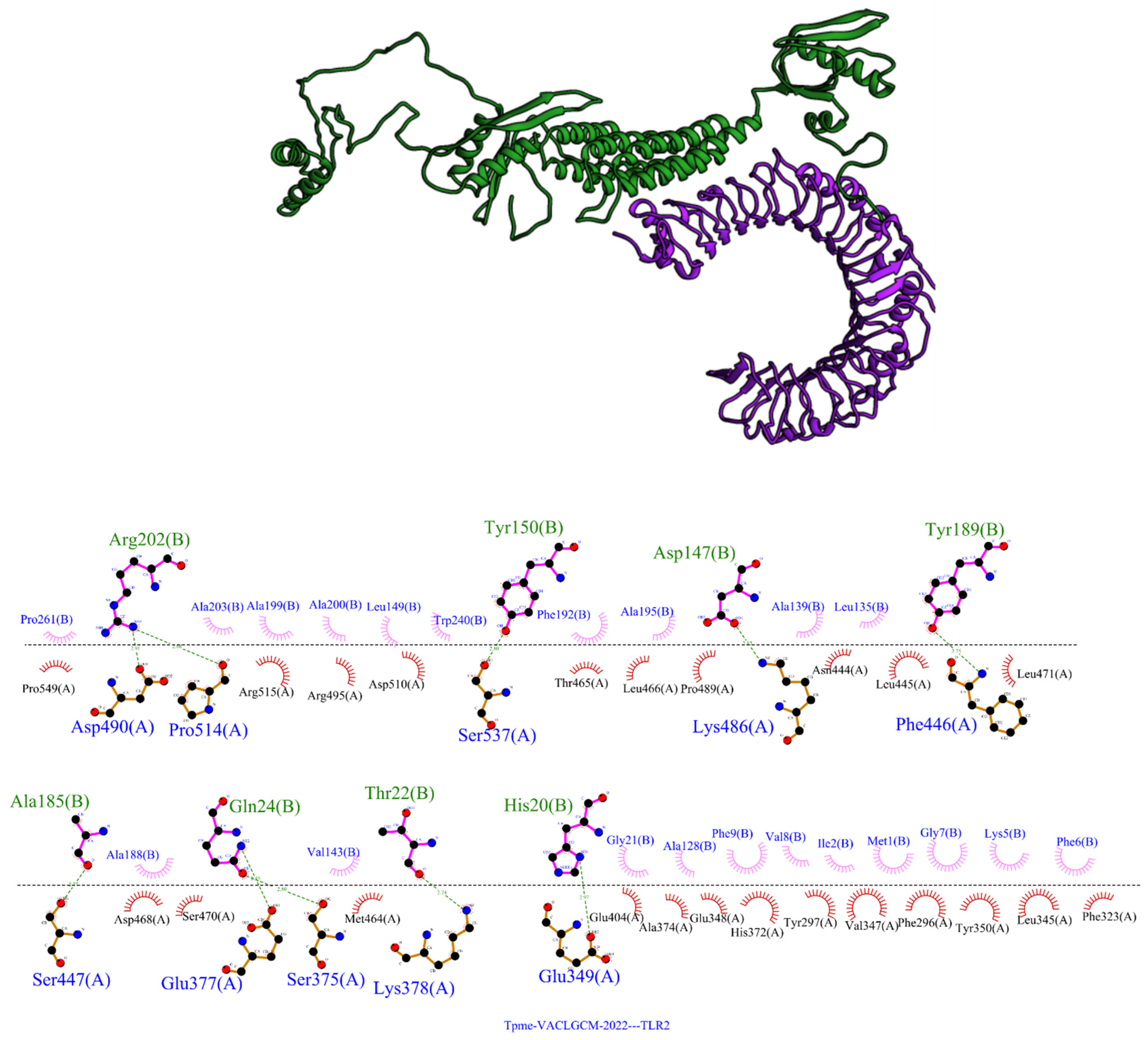 Vaccines 10 01019 g002