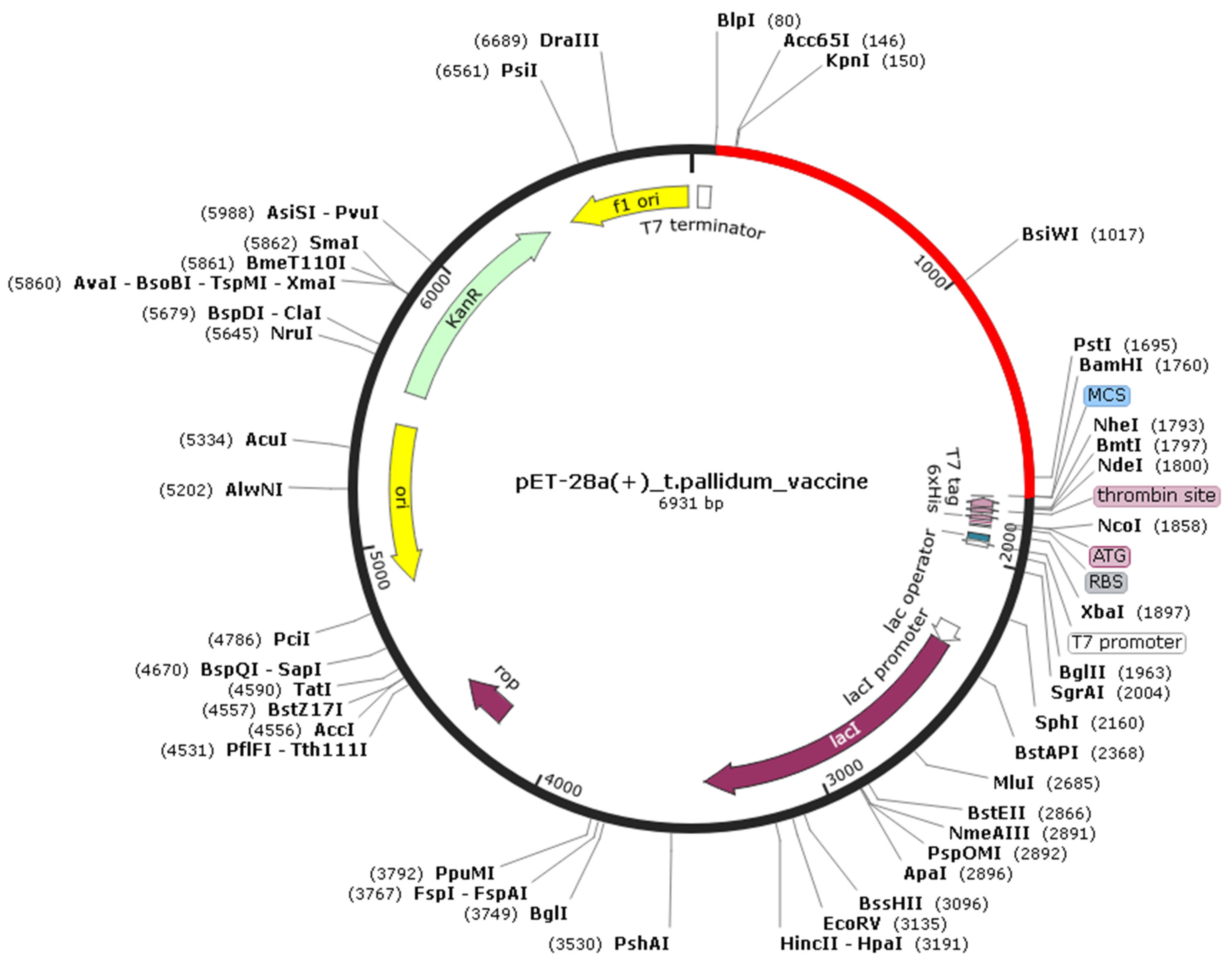 Vaccines 10 01019 g004