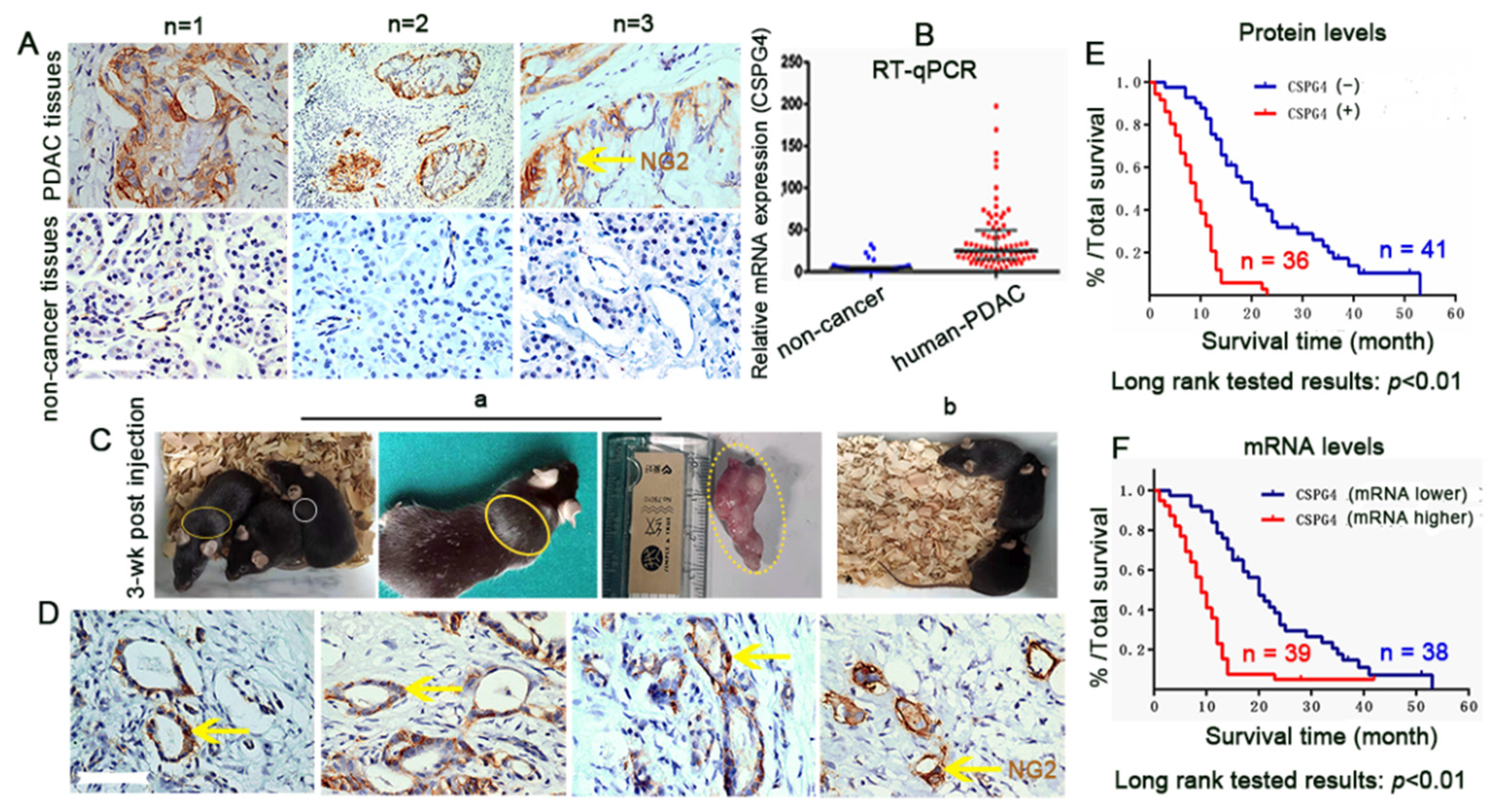 Vaccines 10 01023 g003