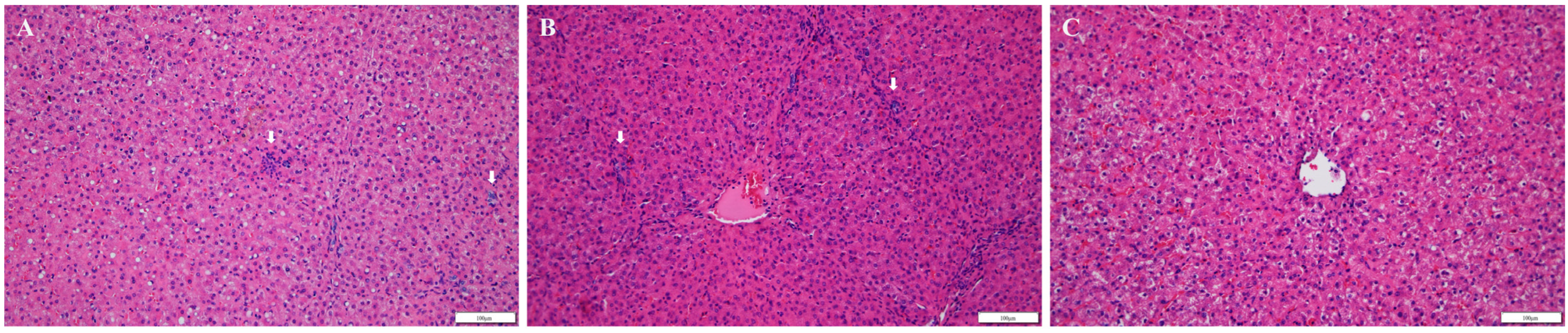 Vaccines 10 01053 g004