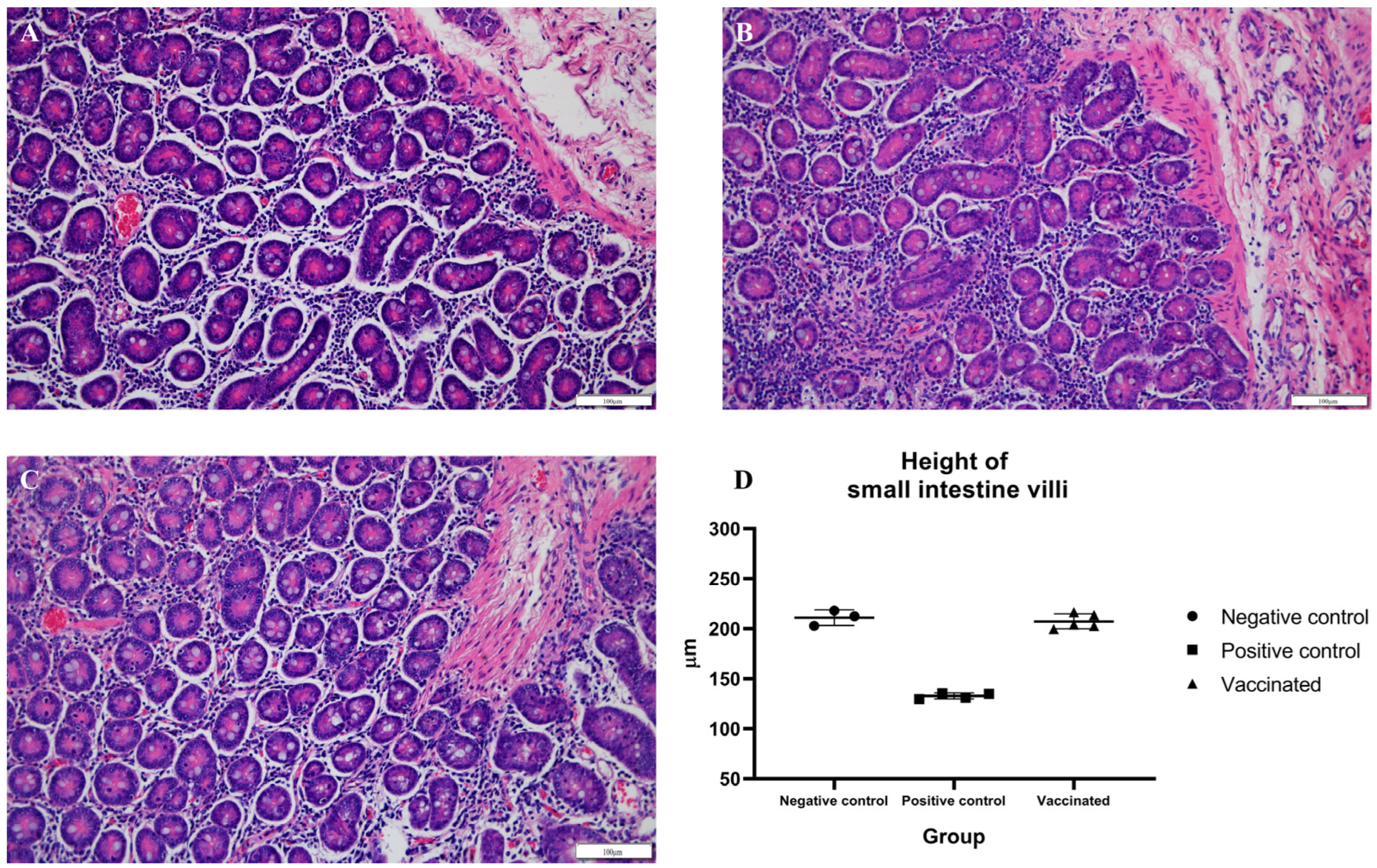Vaccines 10 01053 g006