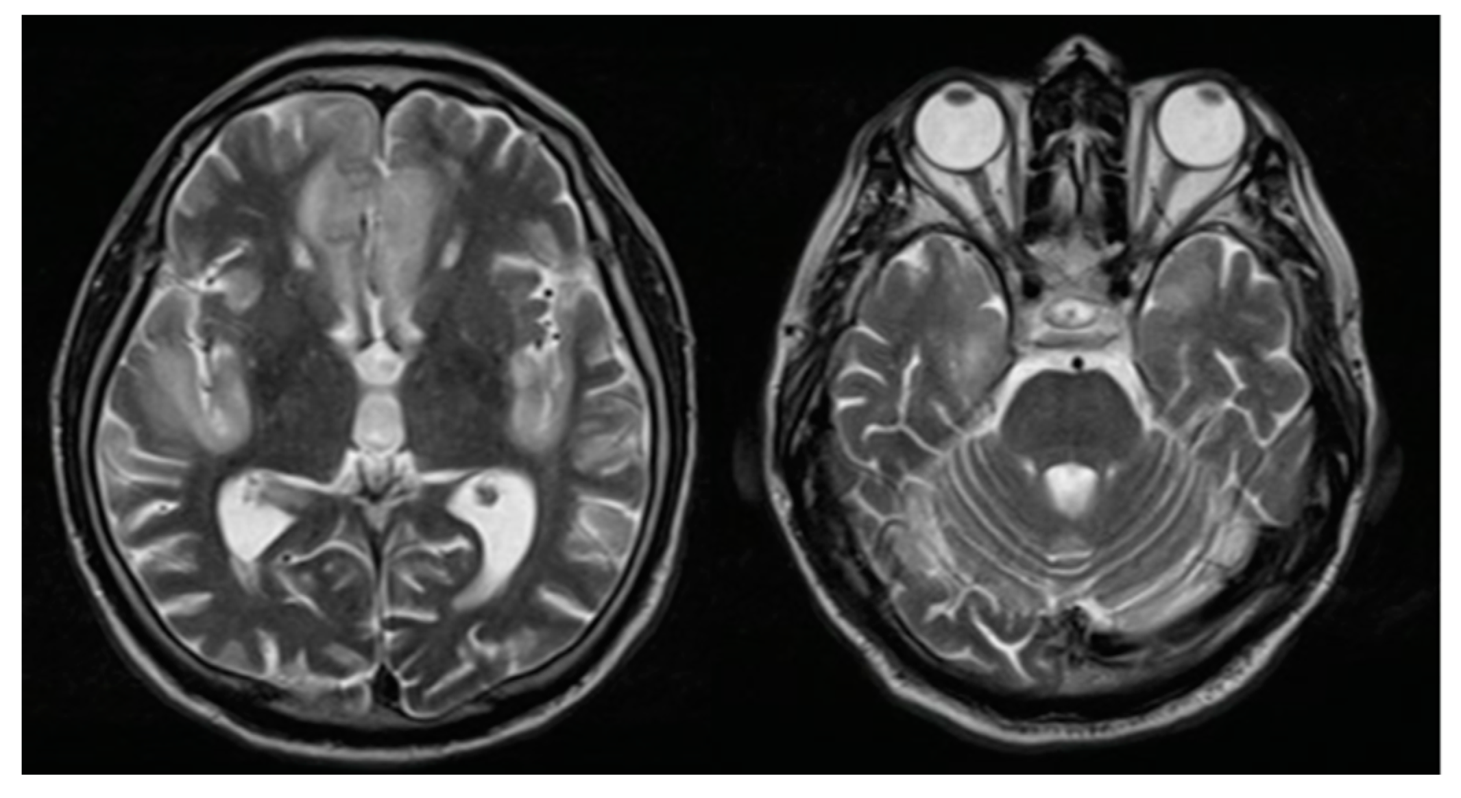 Vaccines 10 01065 g001