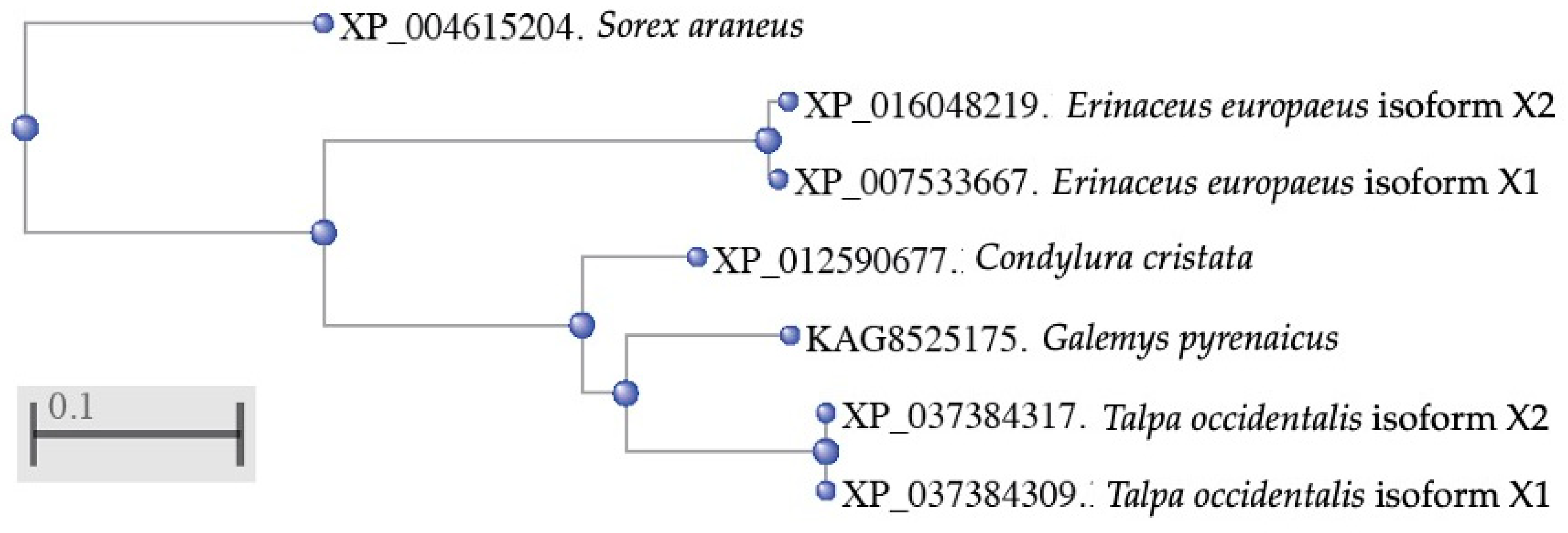 Vaccines 10 01105 g004 Vaccines 10 01105 g004