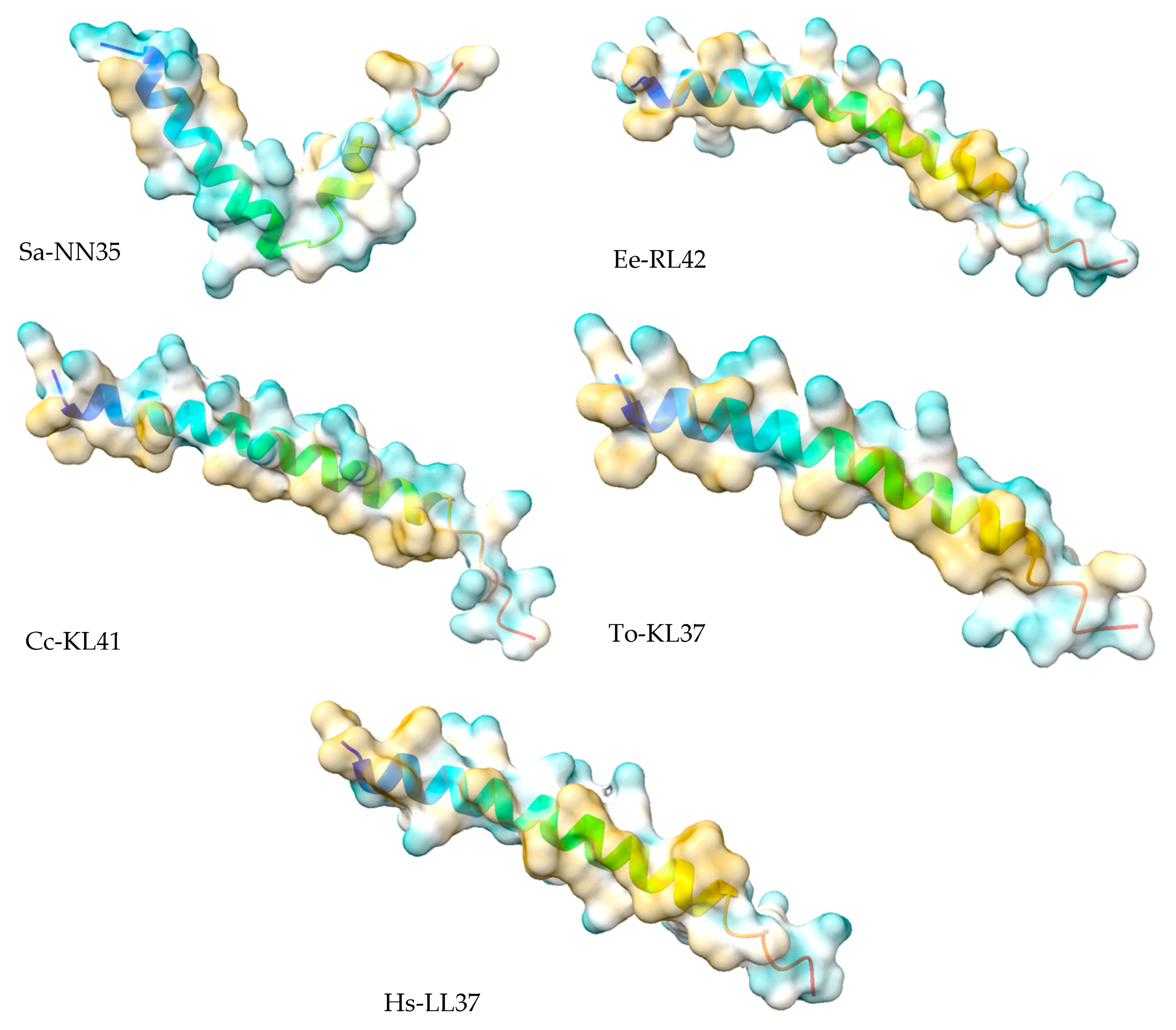 Vaccines 10 01105 g005 Vaccines 10 01105 g005