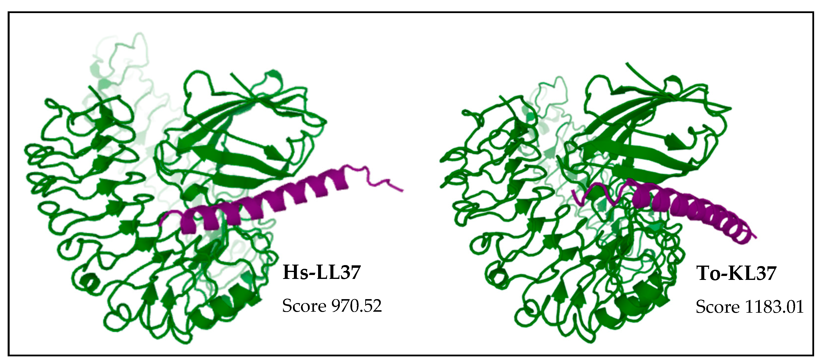 Vaccines 10 01105 g009 Vaccines 10 01105 g009