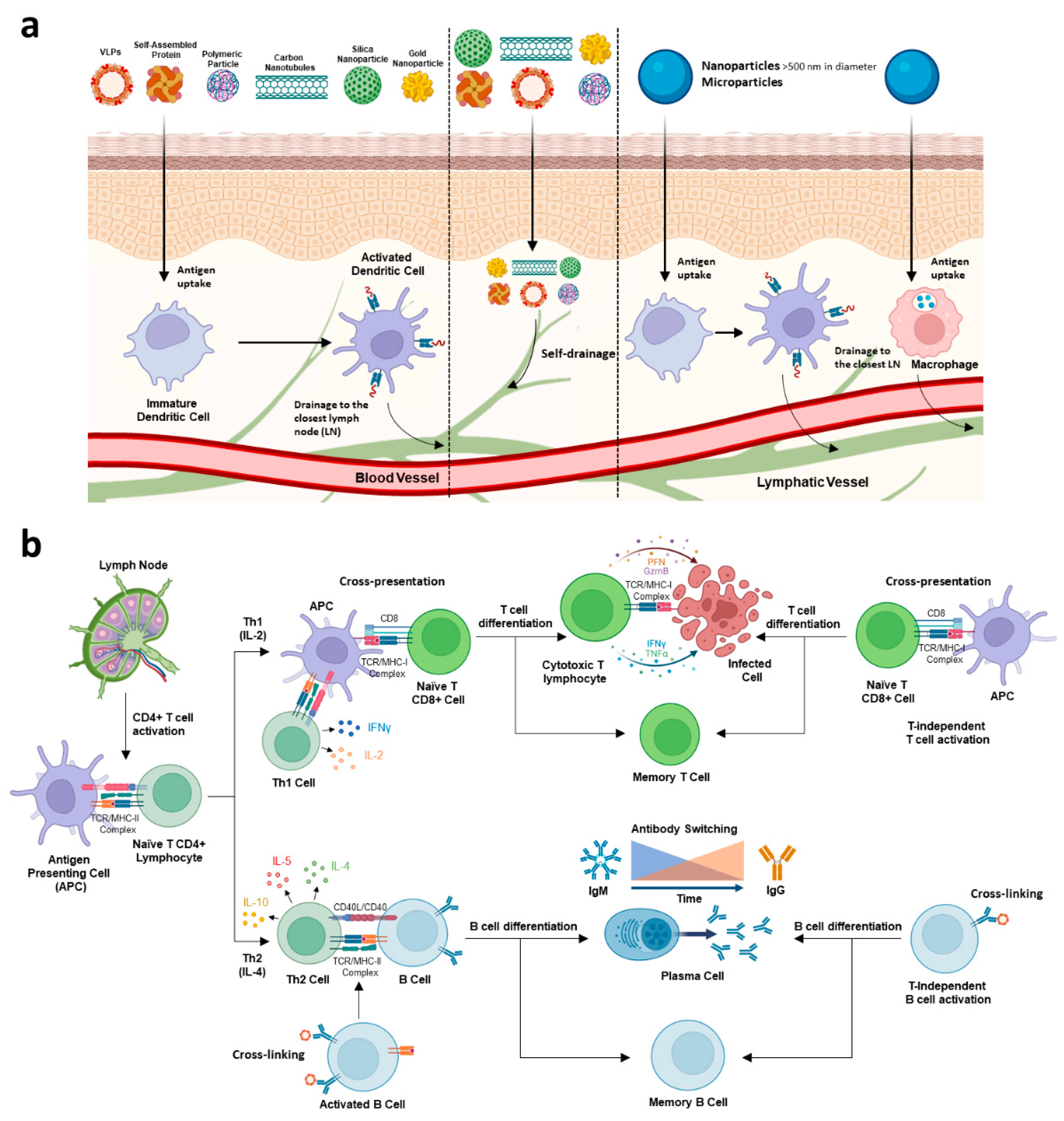 Vaccines 10 01124 g002 Vaccines 10 01124 g002
