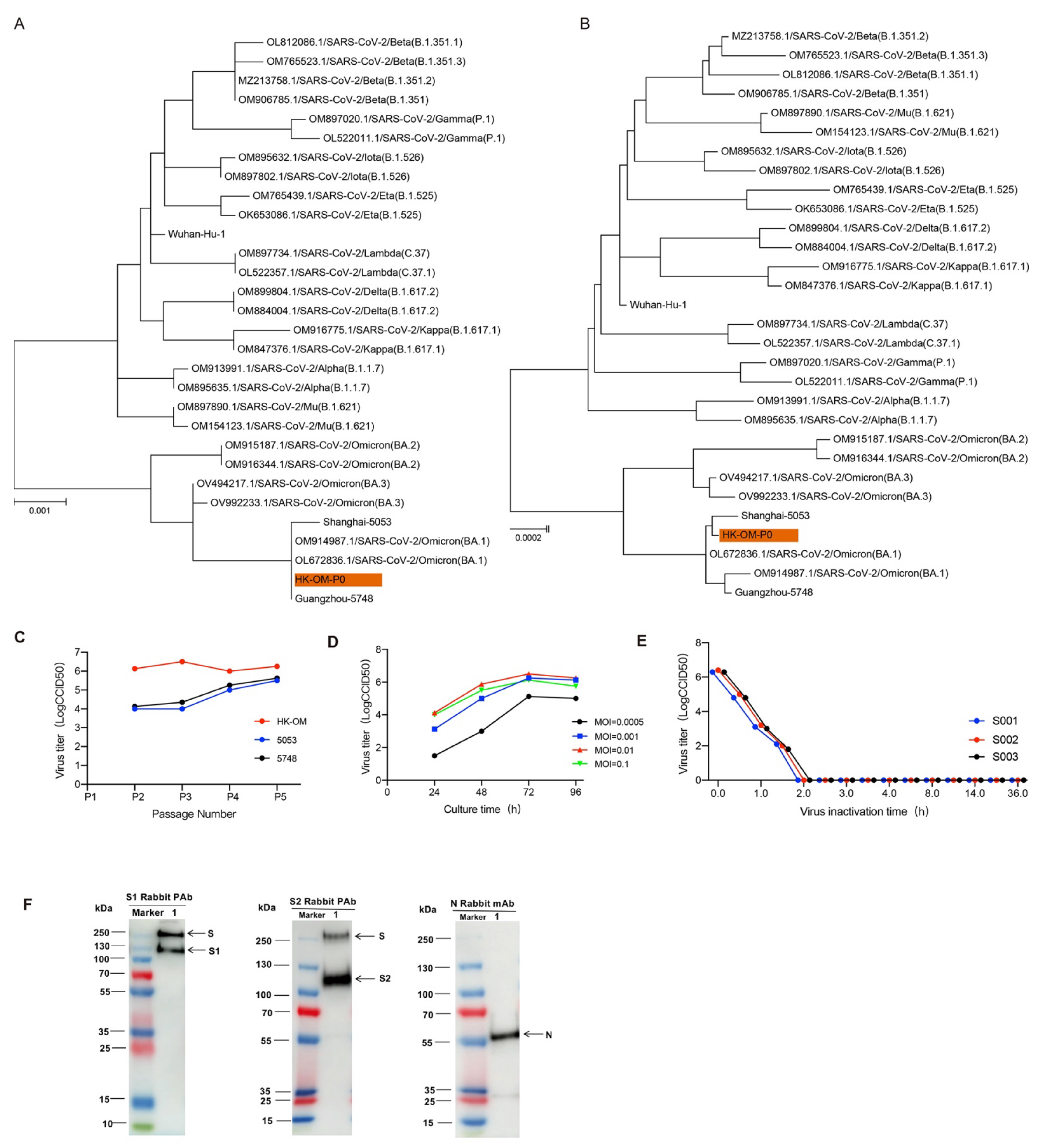 Vaccines 10 01149 g001