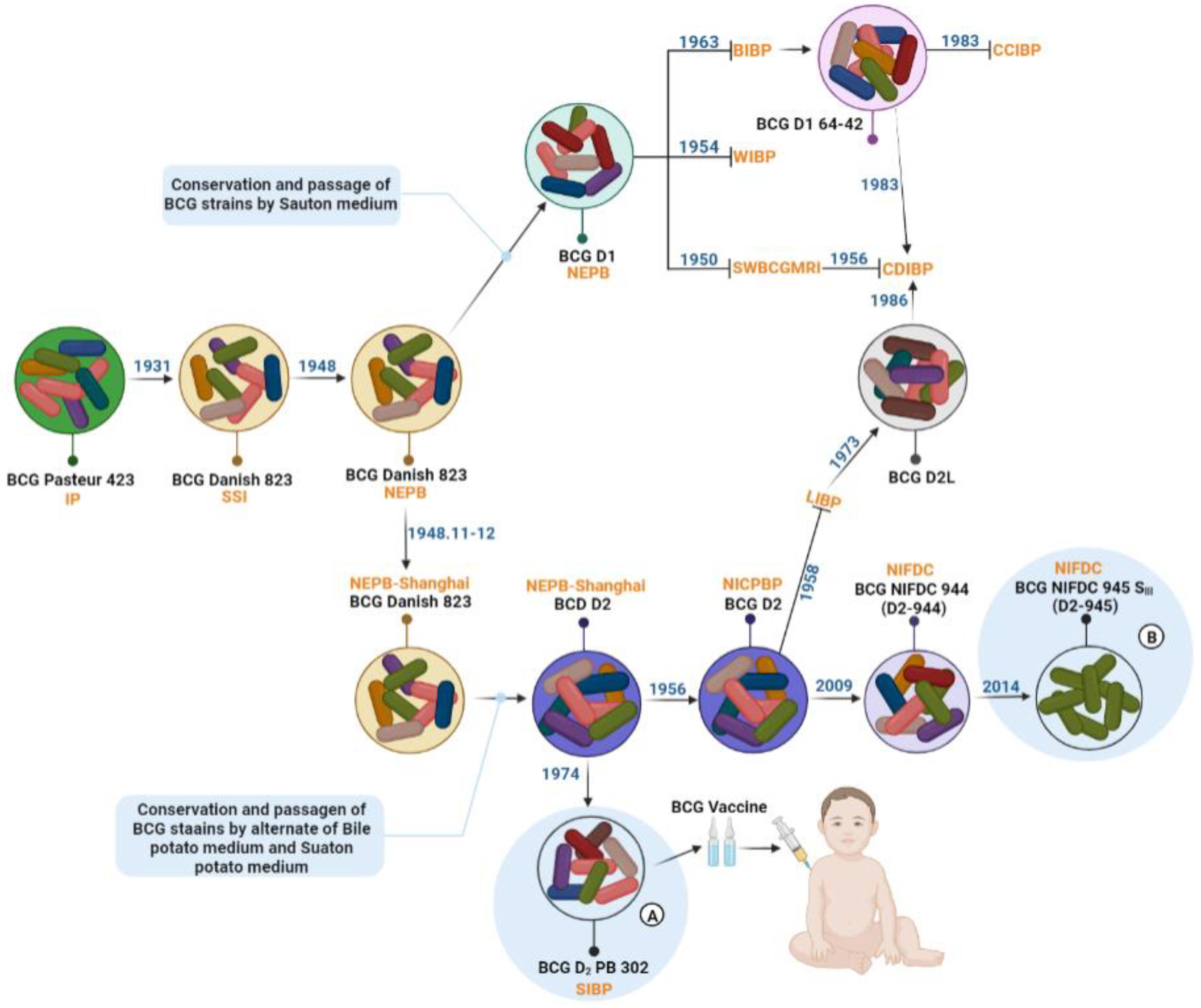 Vaccines 10 01157 g001