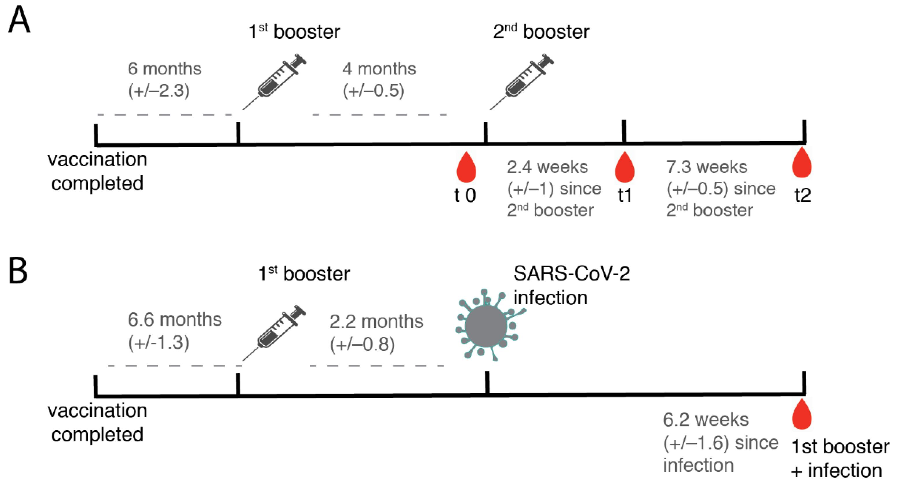 Vaccines 10 01163 g001