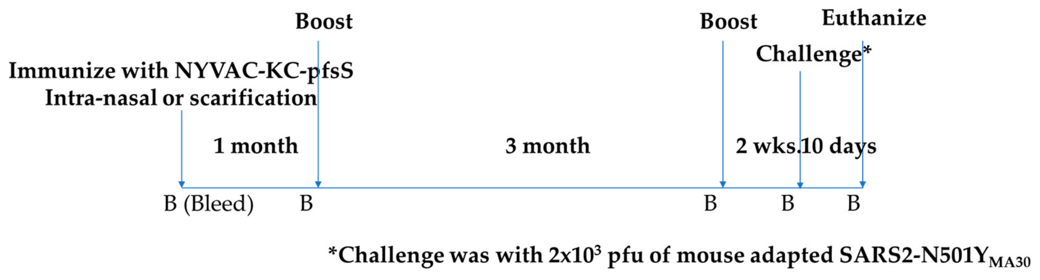 Vaccines 10 01172 g003