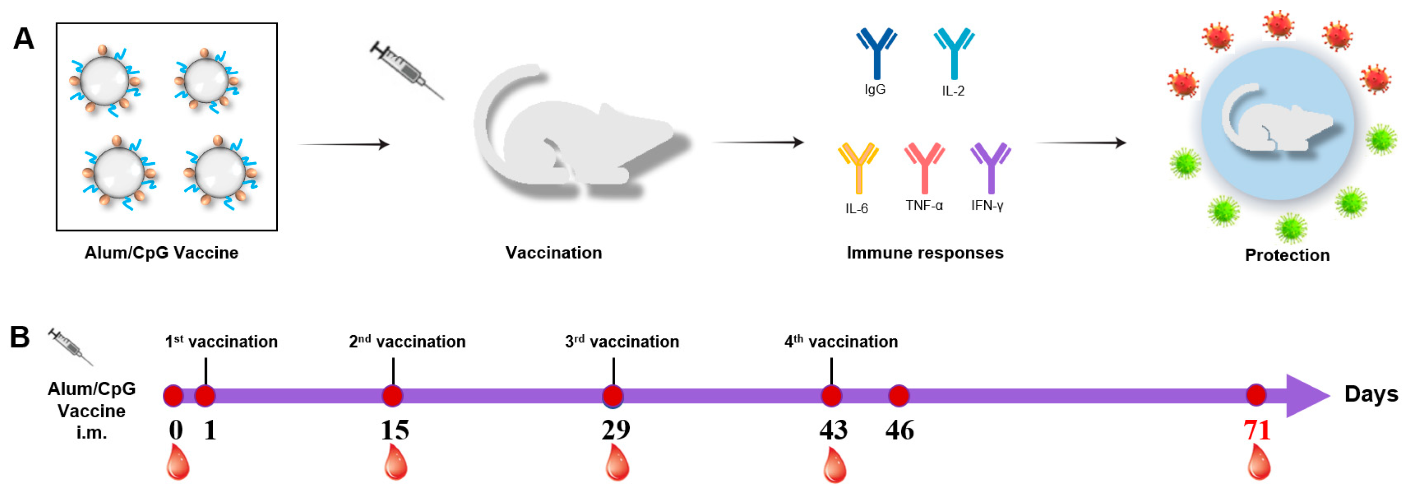 Vaccines 10 01208 g001