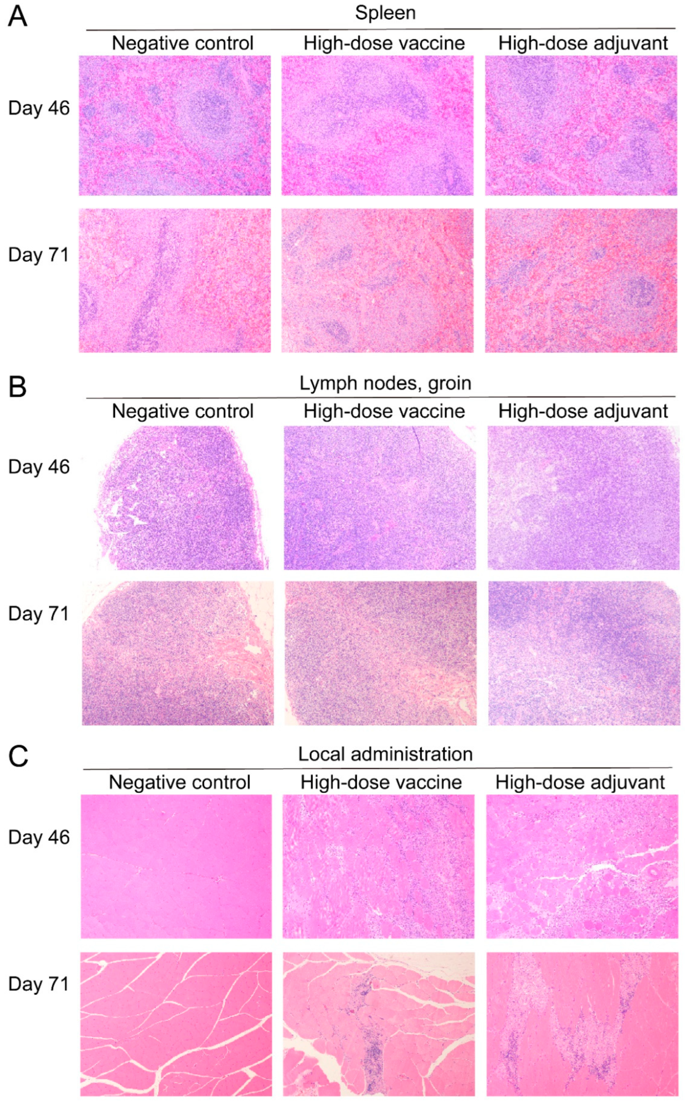 Vaccines 10 01208 g006