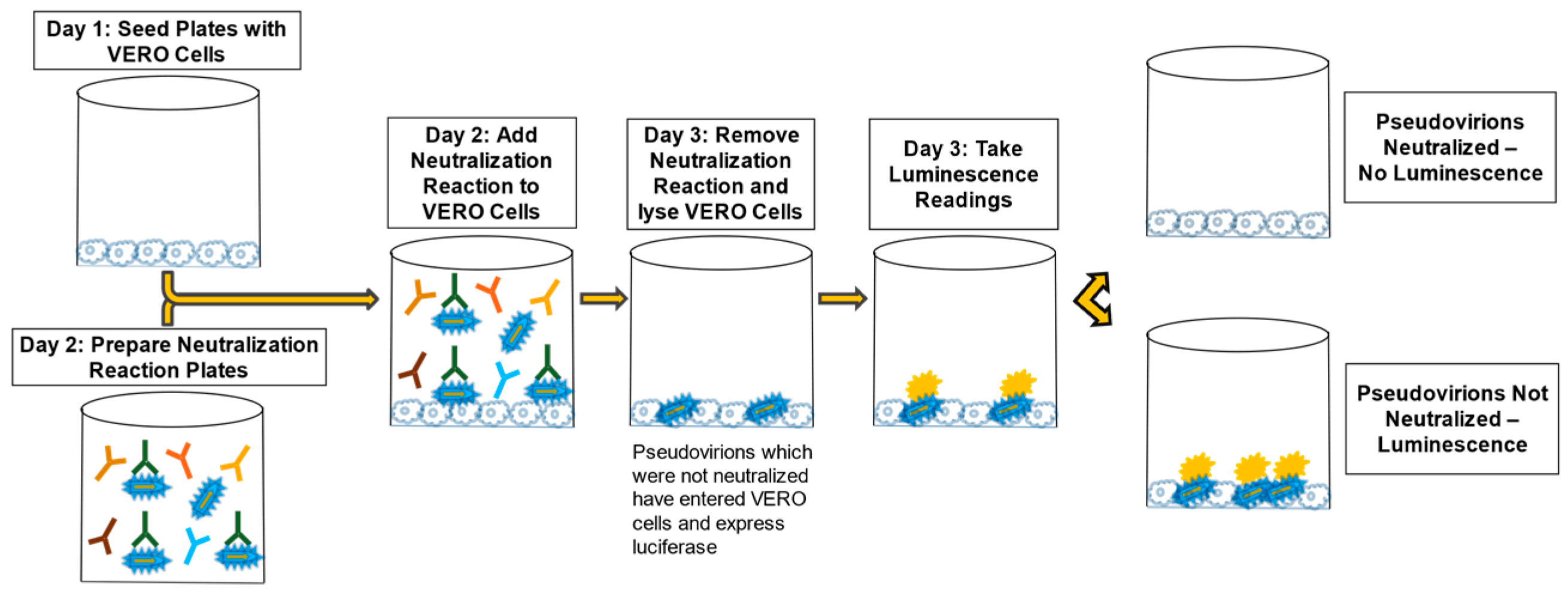 Vaccines 10 01211 g004