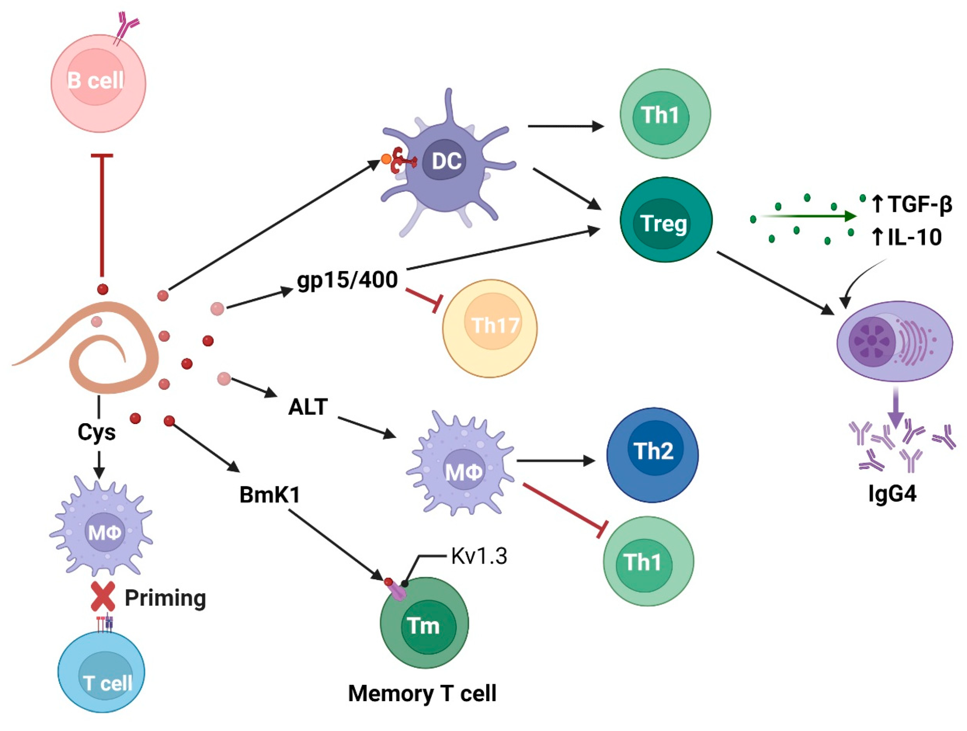 Vaccines 10 01235 g002 Vaccines 10 01235 g002