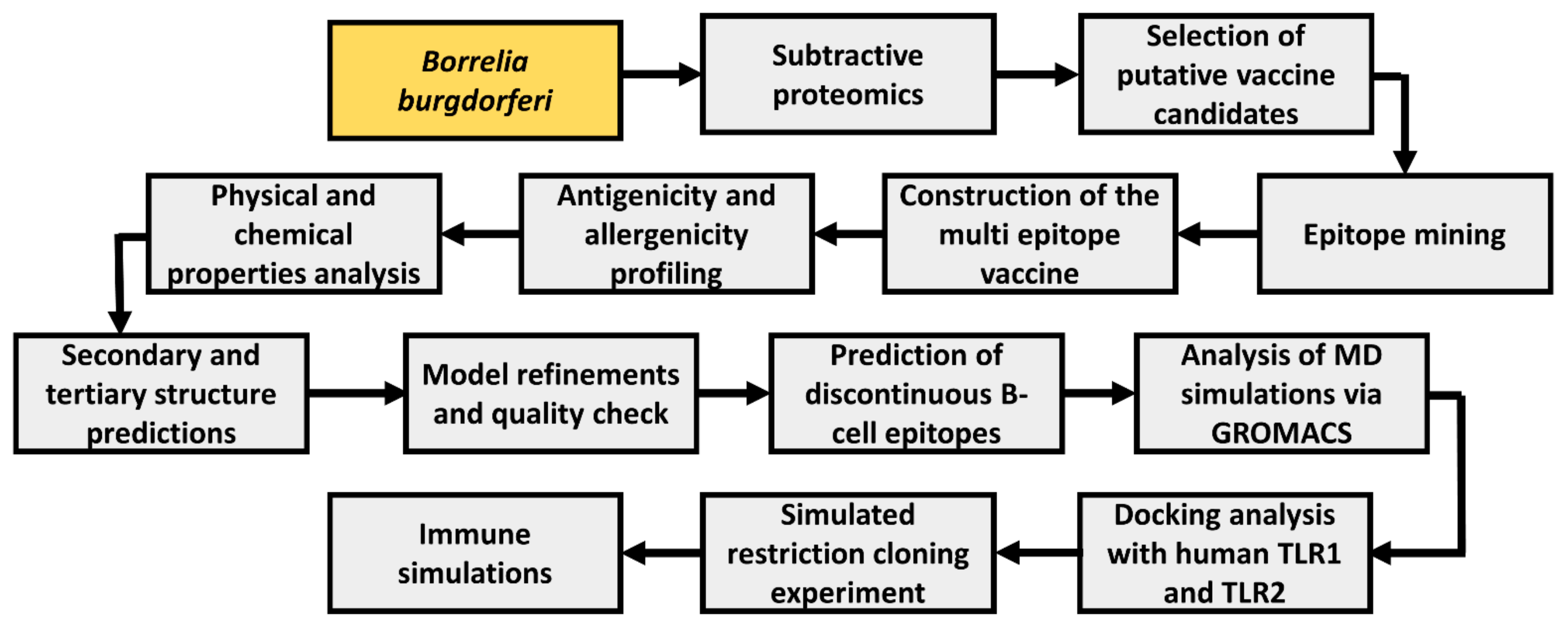 Vaccines 10 01239 g001