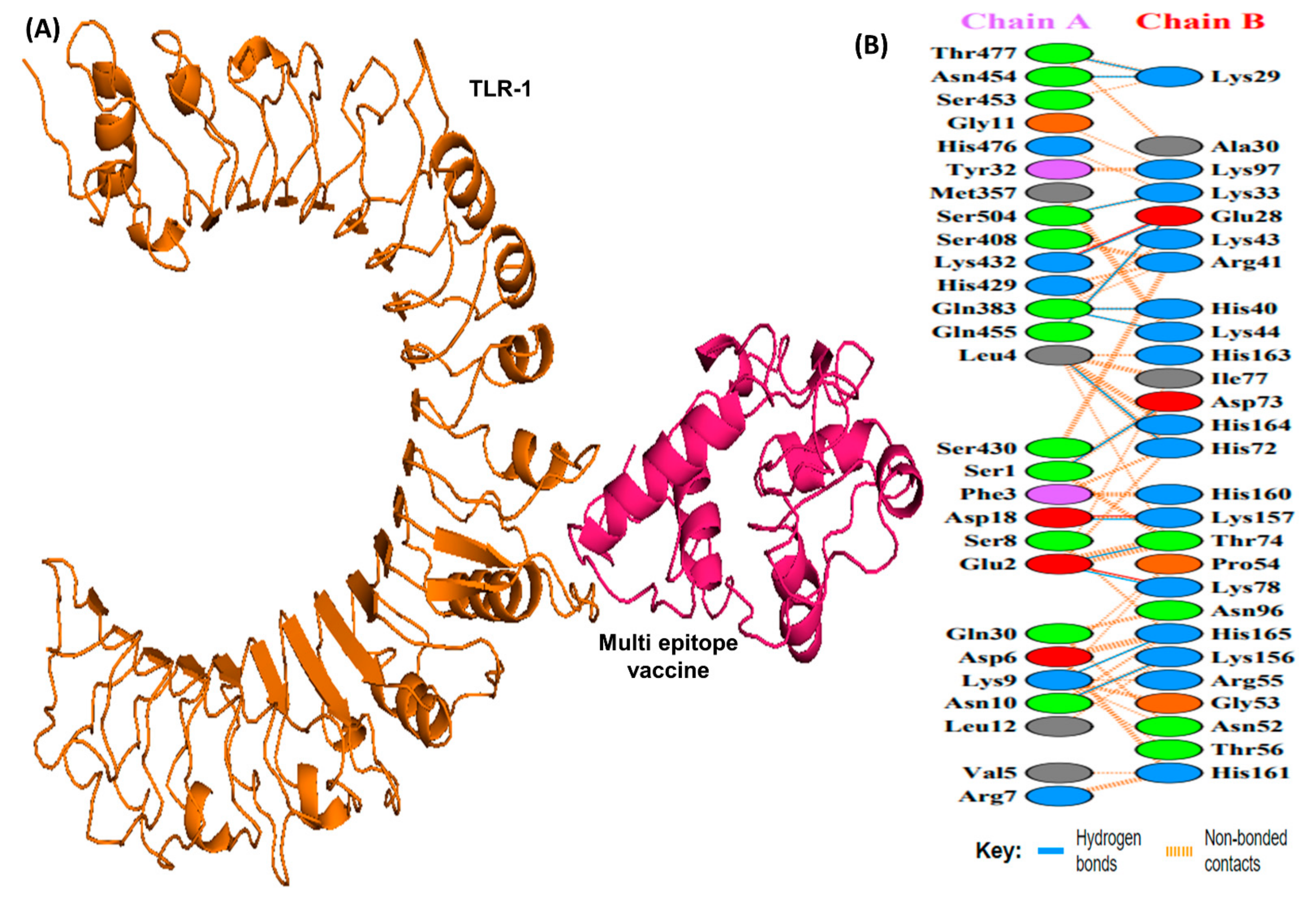 Vaccines 10 01239 g006