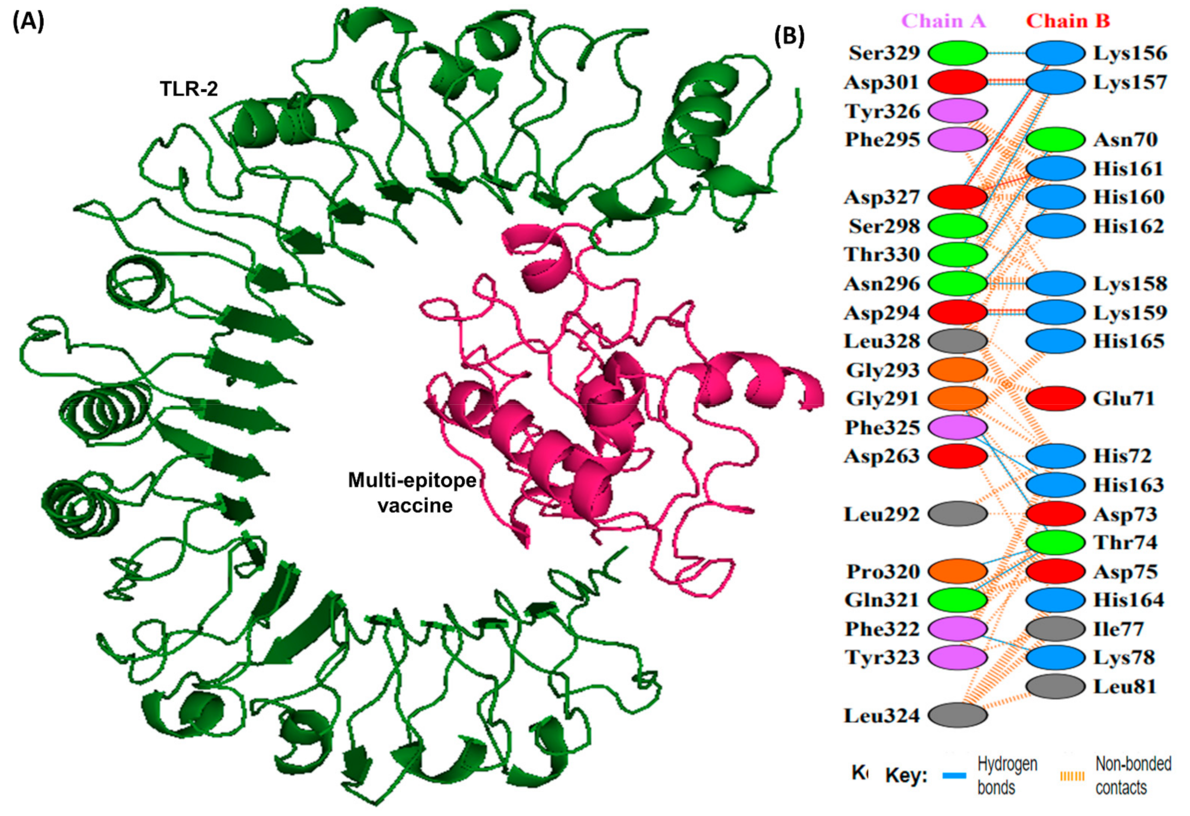 Vaccines 10 01239 g007