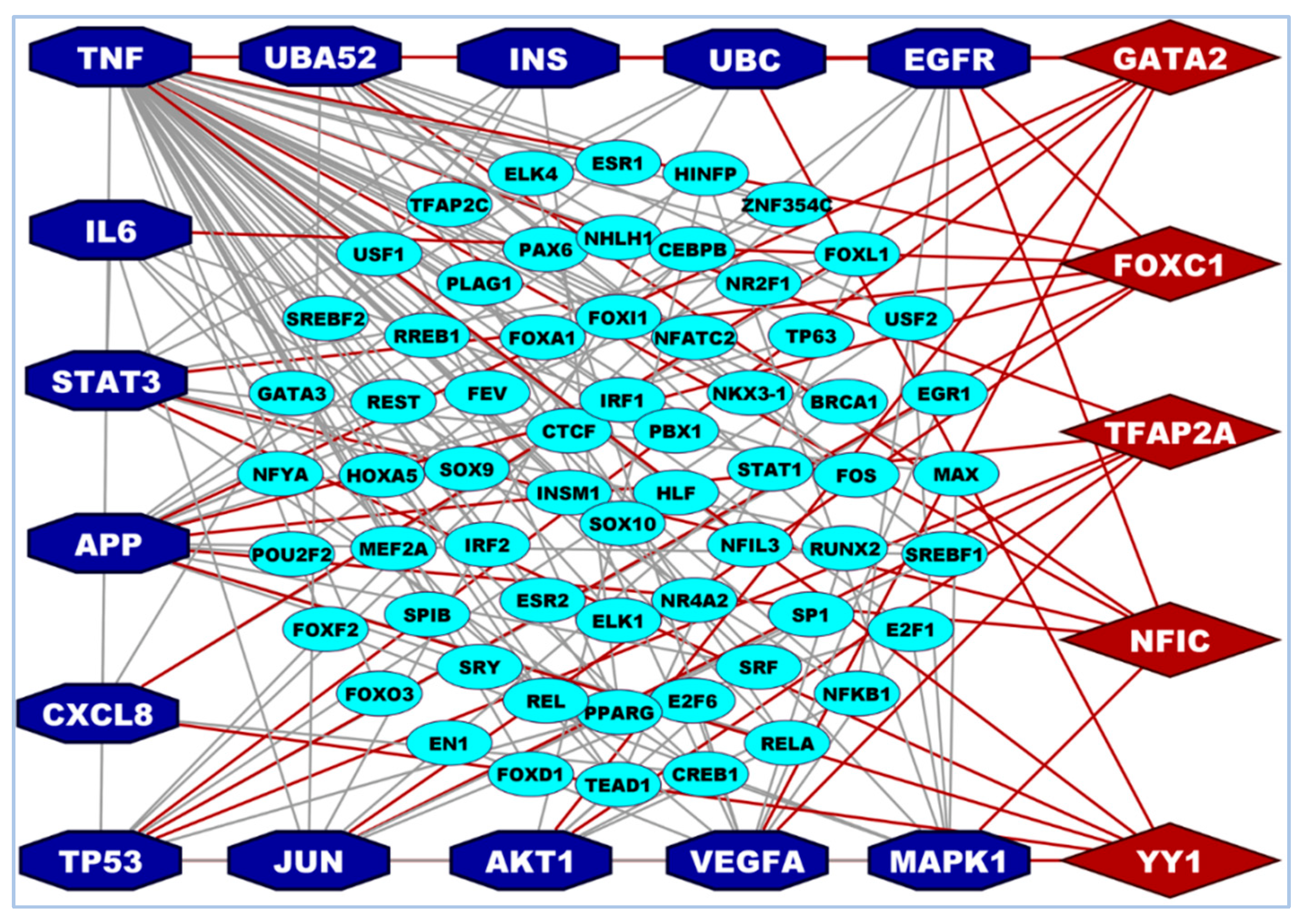 Vaccines 10 01248 g004