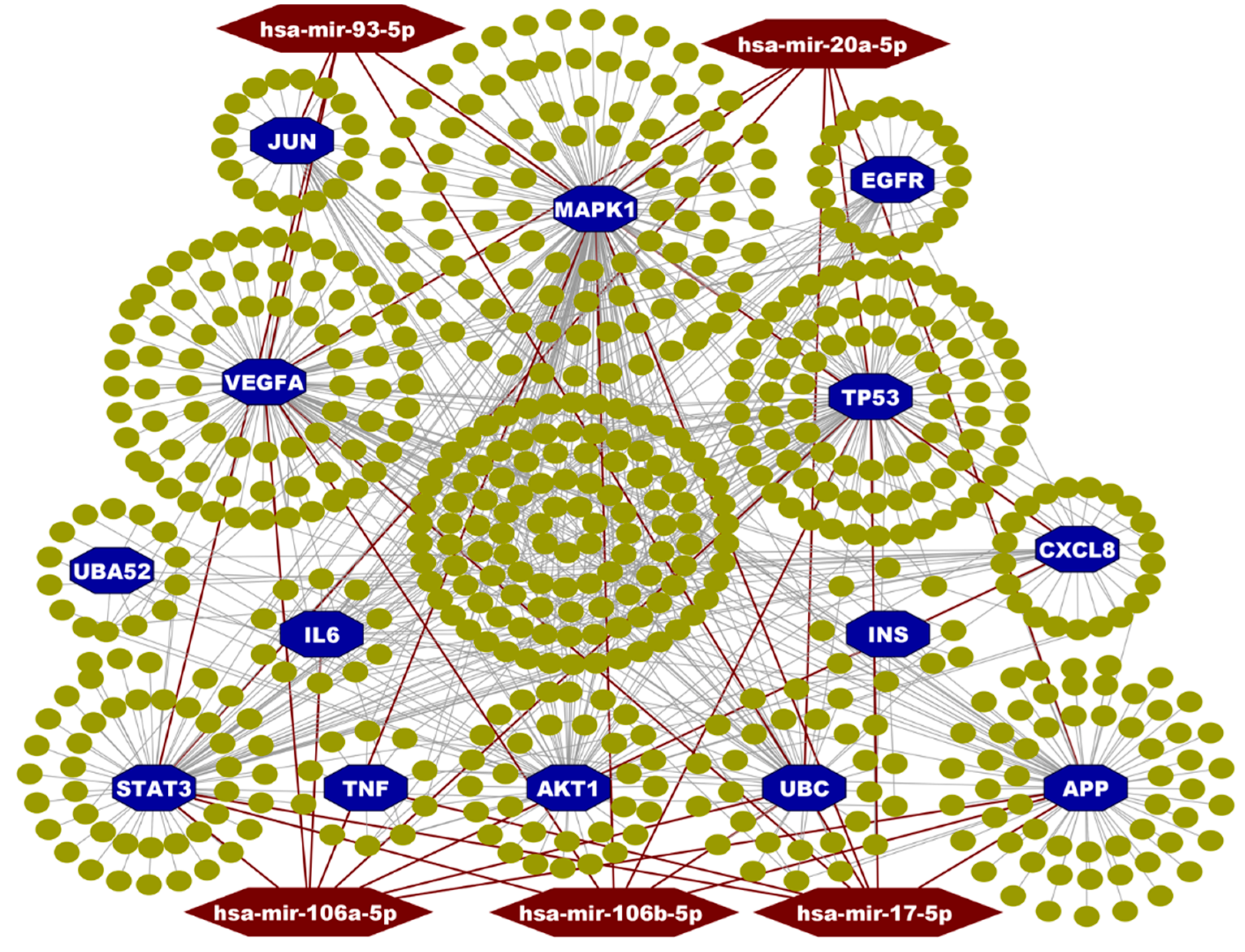 Vaccines 10 01248 g005