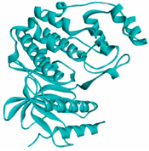 Vaccines 10 01248 i001