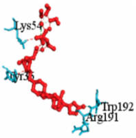 Vaccines 10 01248 i005