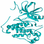 Vaccines 10 01248 i006