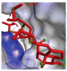 Vaccines 10 01248 i008