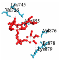 Vaccines 10 01248 i010