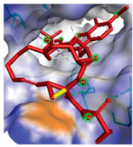 Vaccines 10 01248 i013